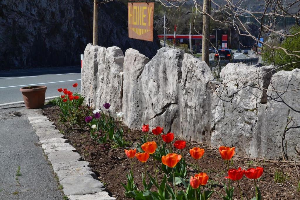 Una Apartment Cetinje