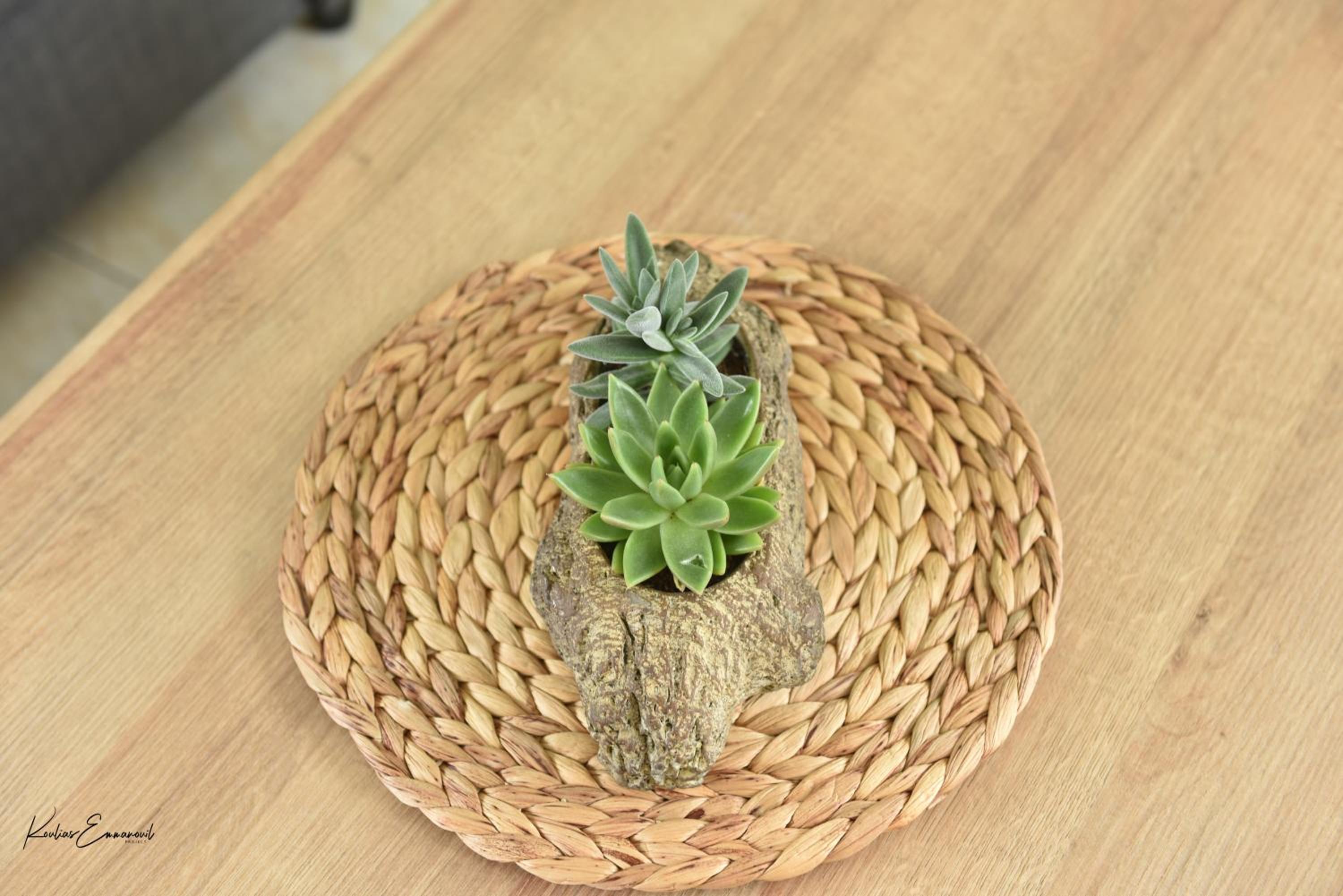 Helios