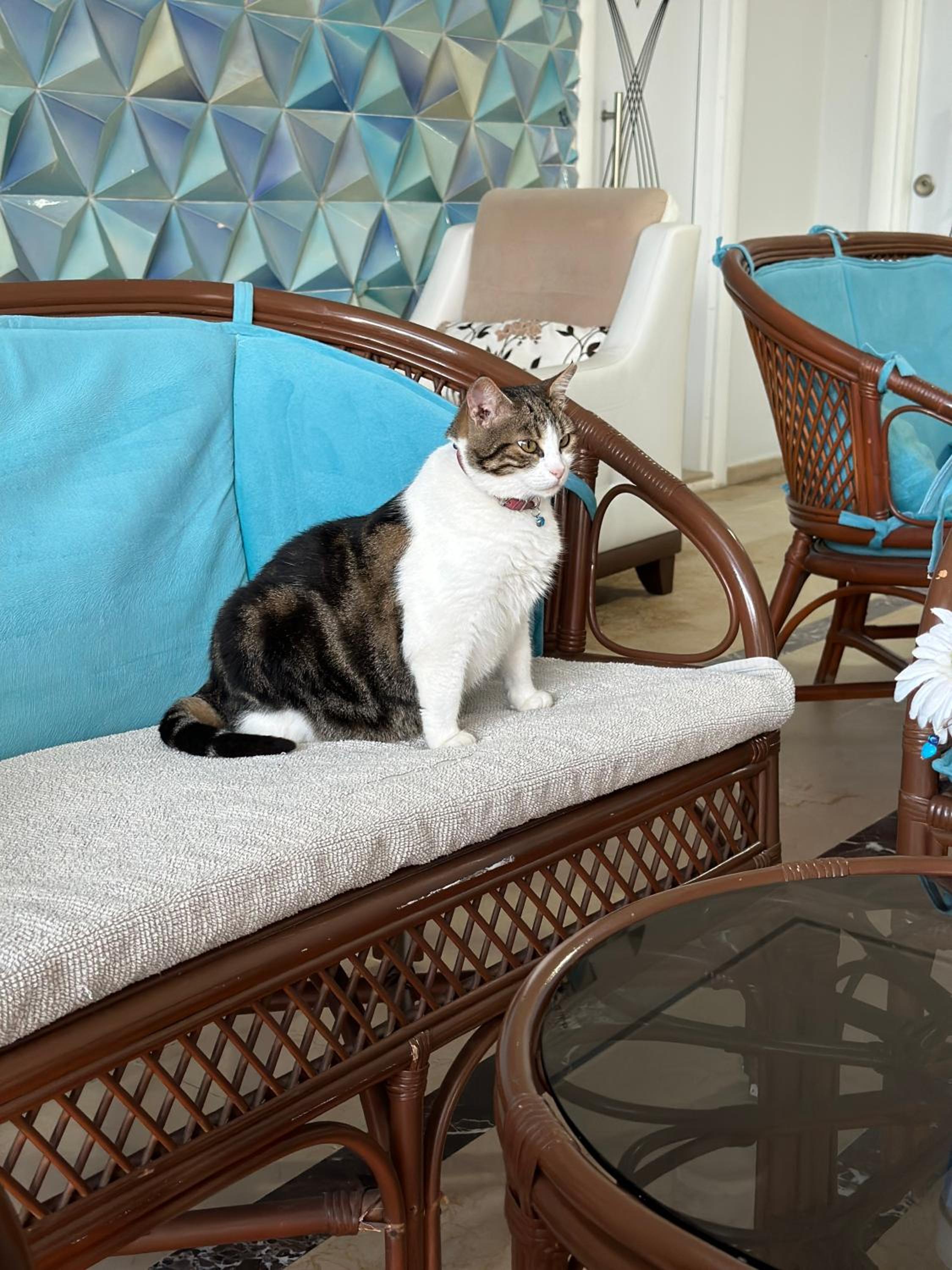 Amsterdam Otel & Suite - Image 12