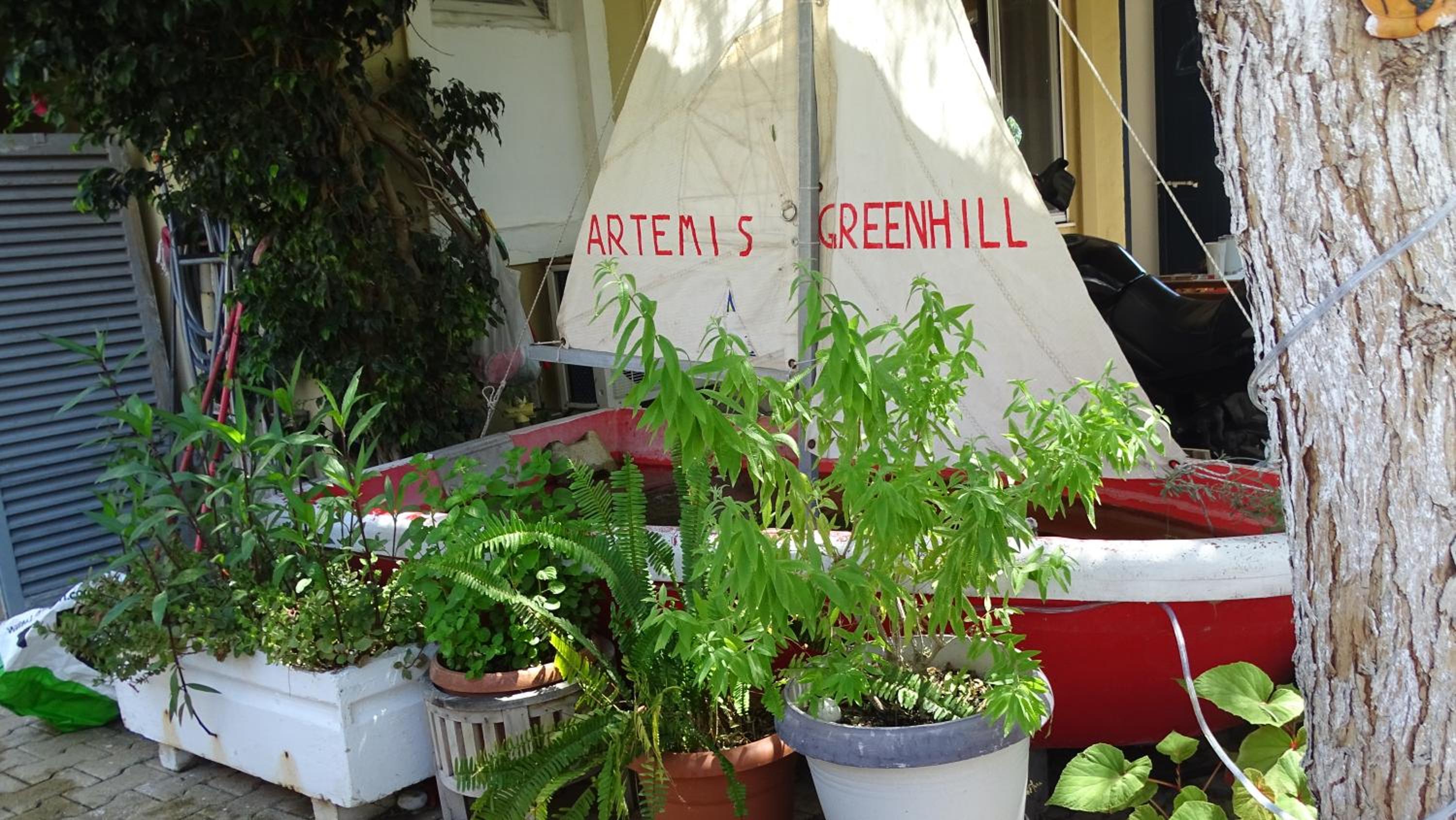 Artemis GreenHill