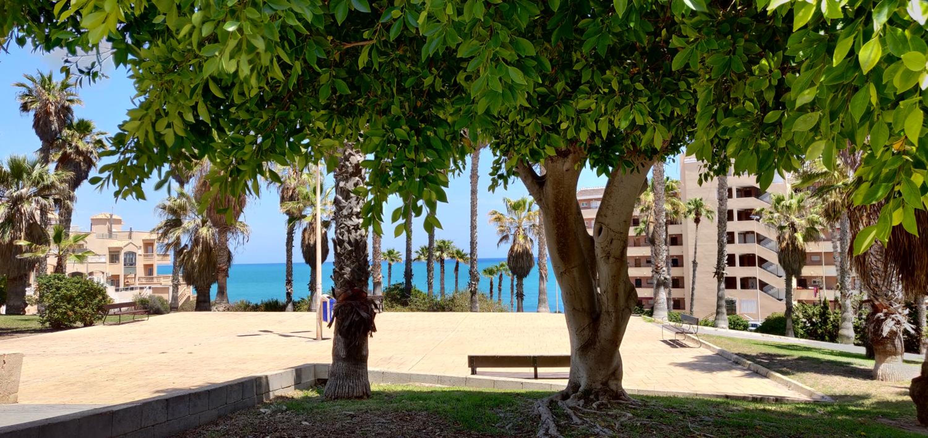 Apartamento Casa de Alba Cabo Cervera La Mata Torrevieja