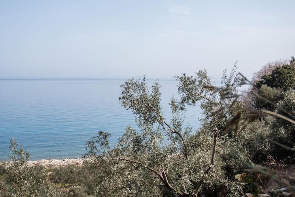 Seaelia CottageHouse