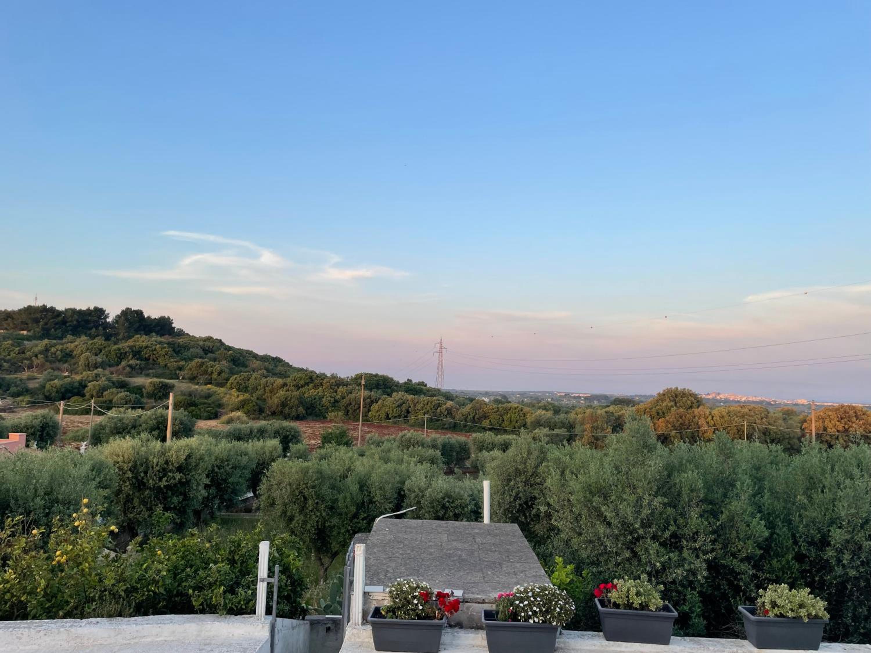 Villa Shivani photo 4