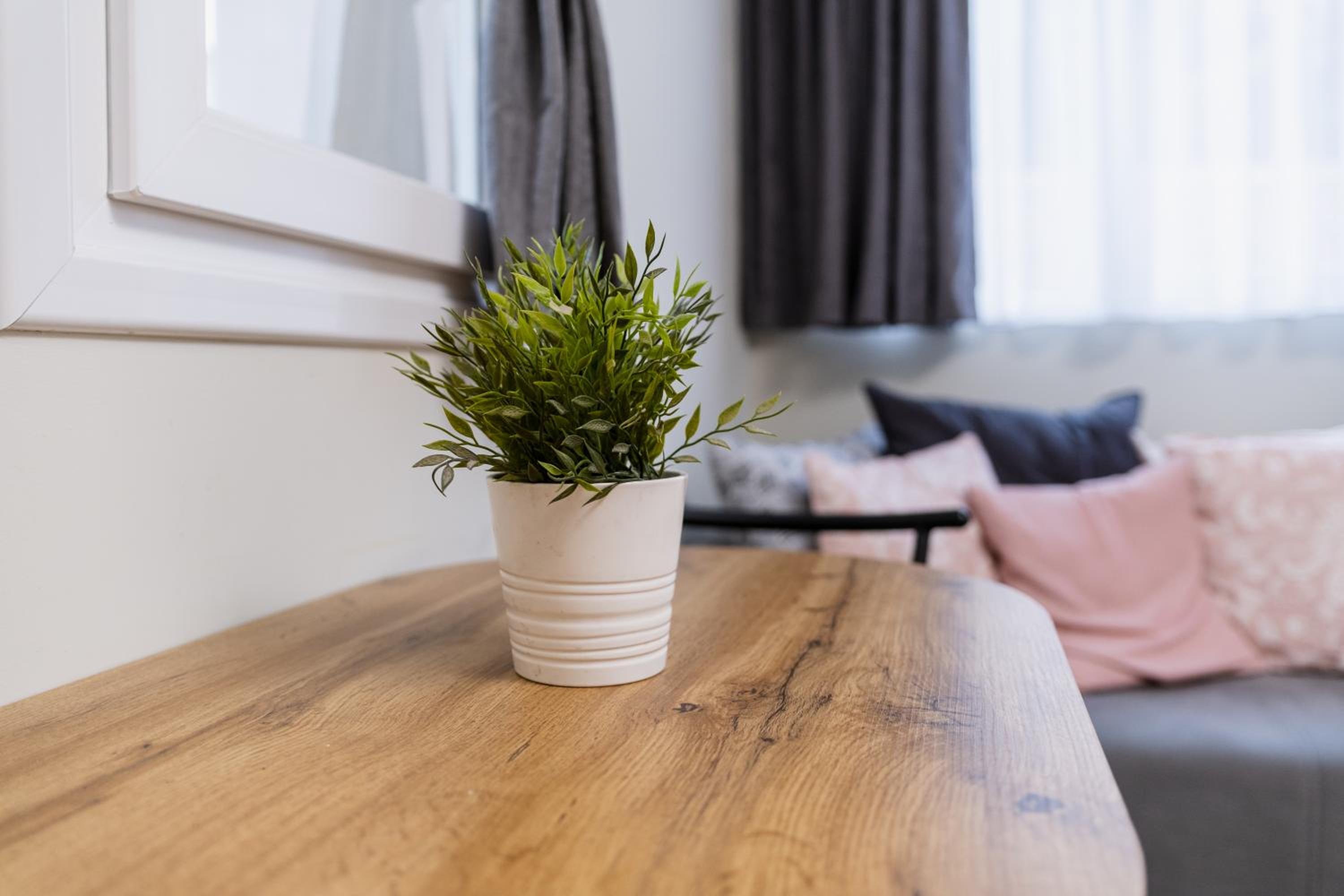 City Center Studio Apartments