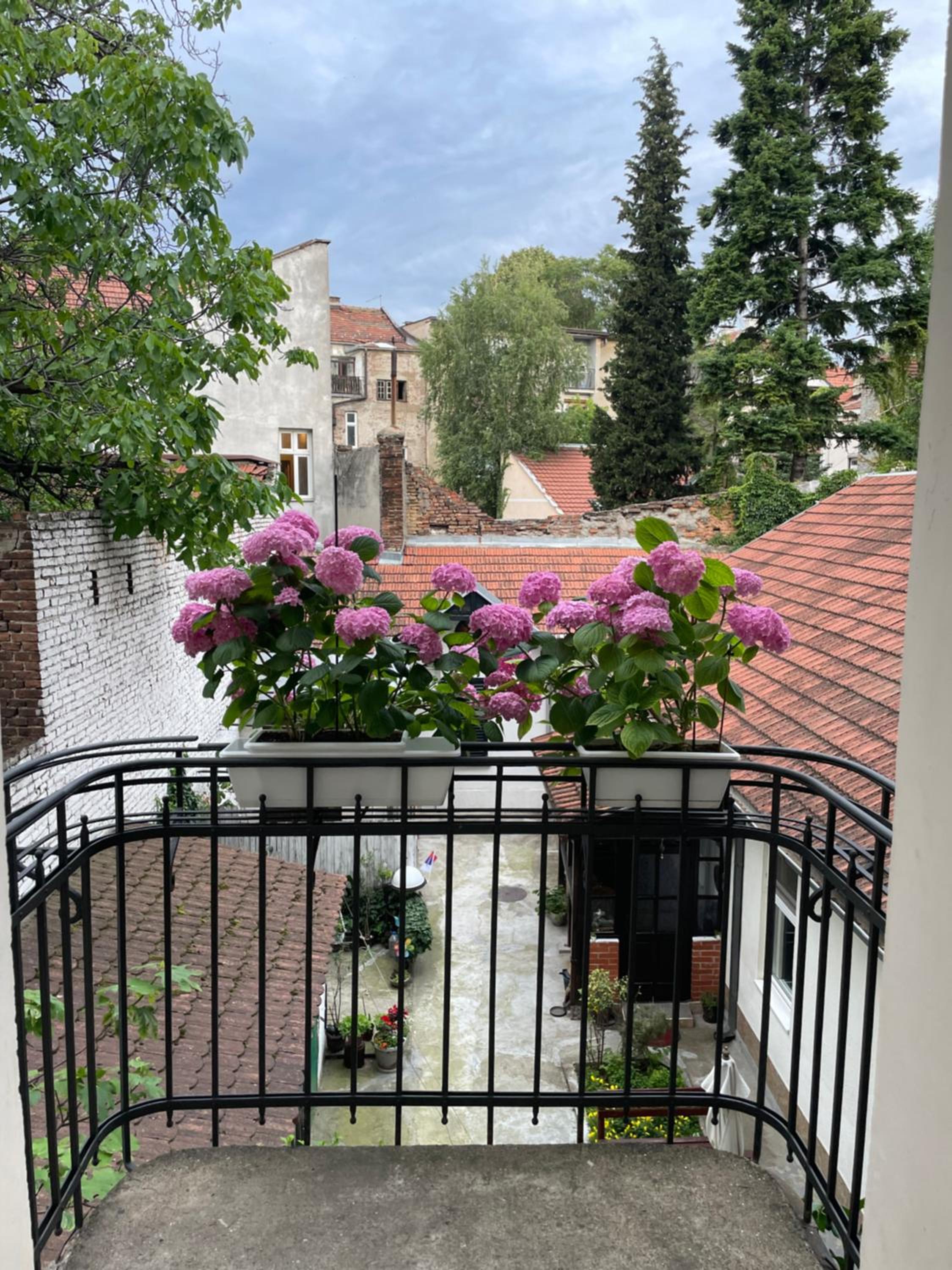 Vracar In view 2