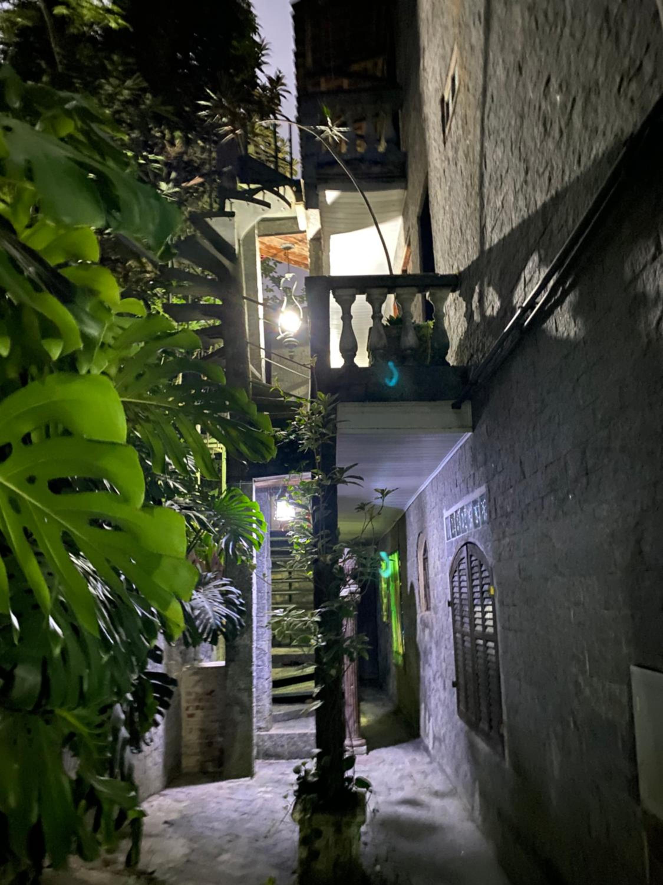 Photo 42