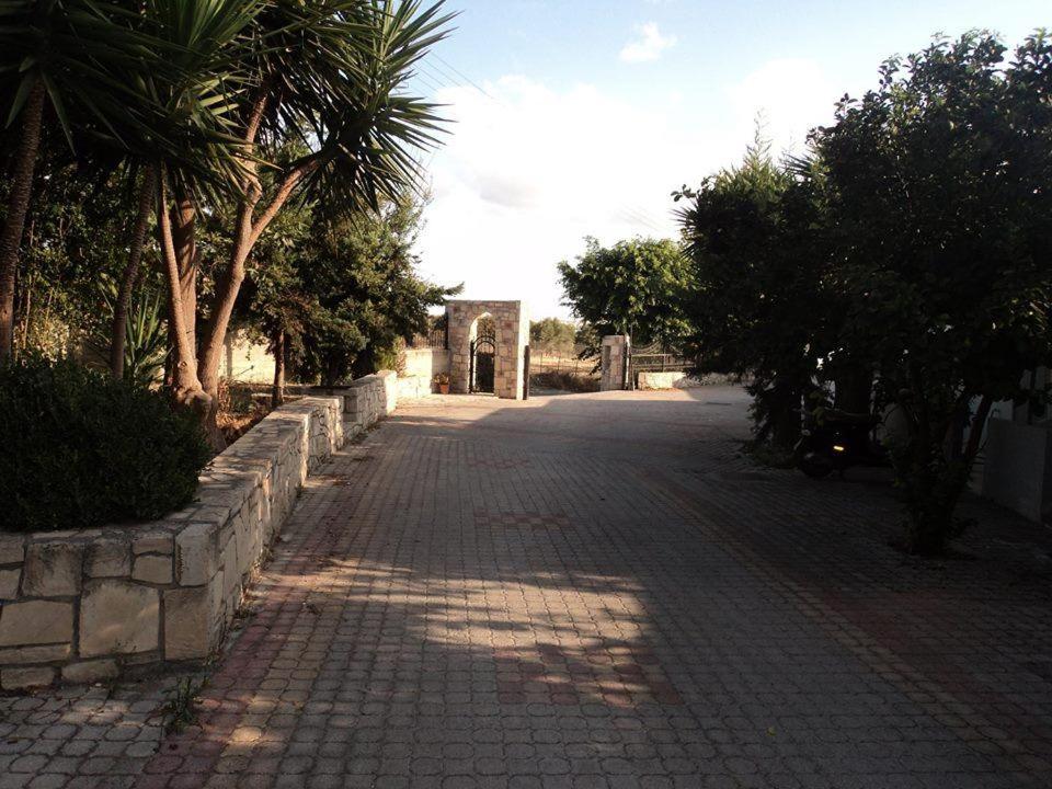 Irene apartments