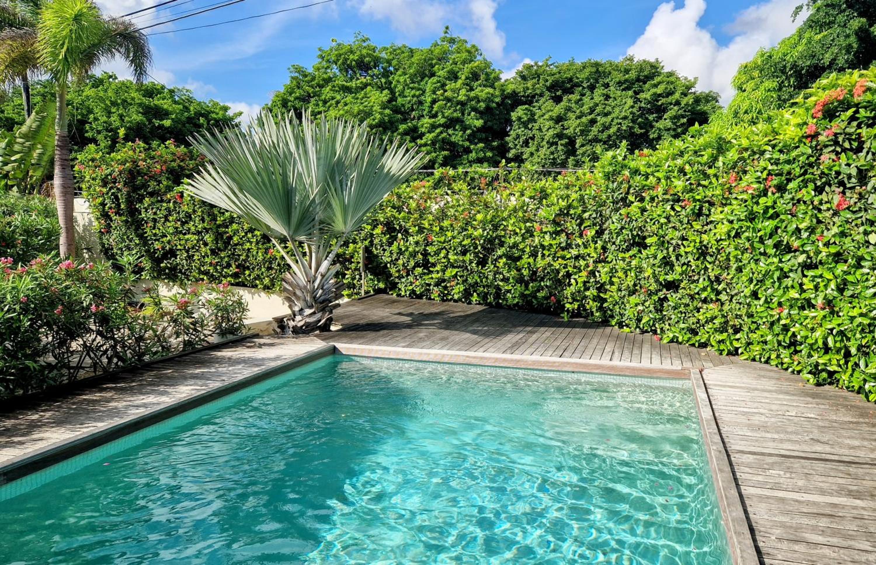 The Pink Panther Apartment, near Mambo Beach Boulevard