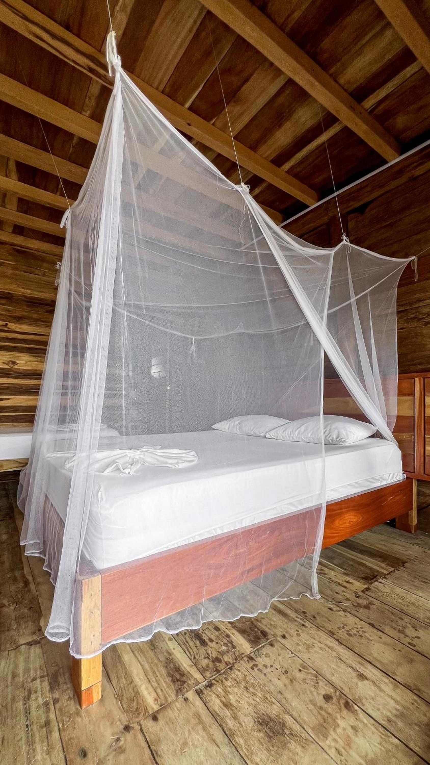 Hostal MOCAMBO BEACH