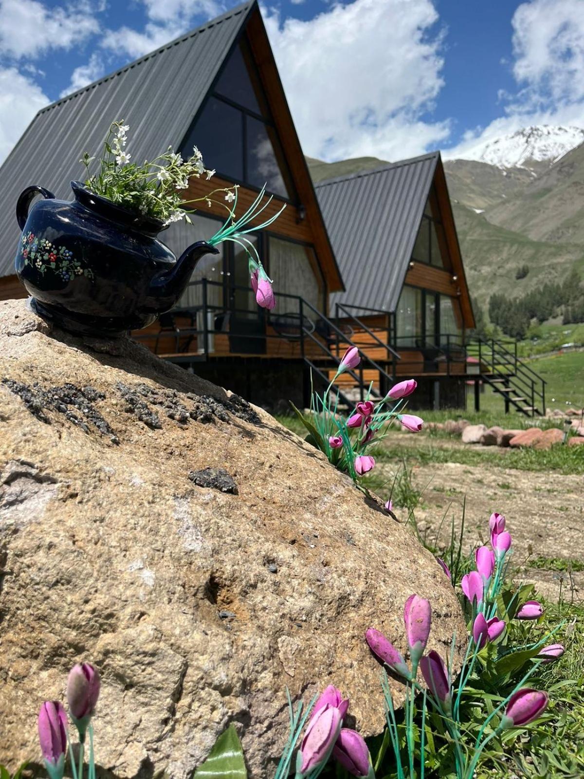 MTISGULI Cottages