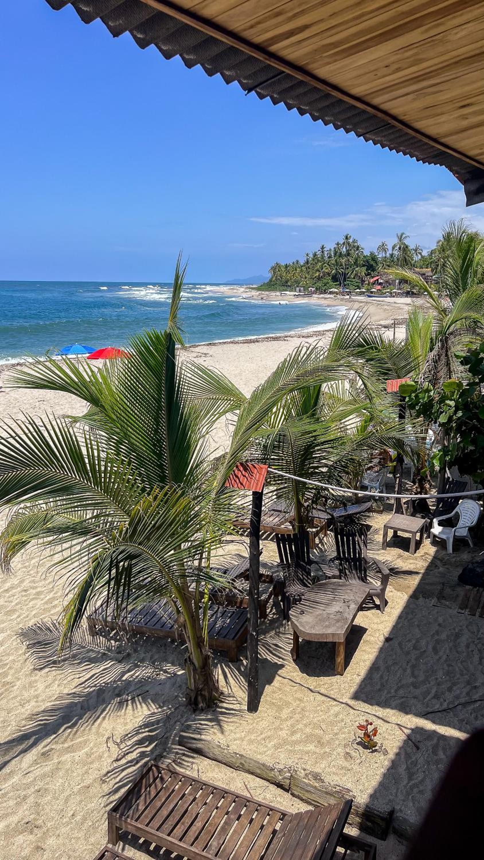 Hostal MOCAMBO BEACH