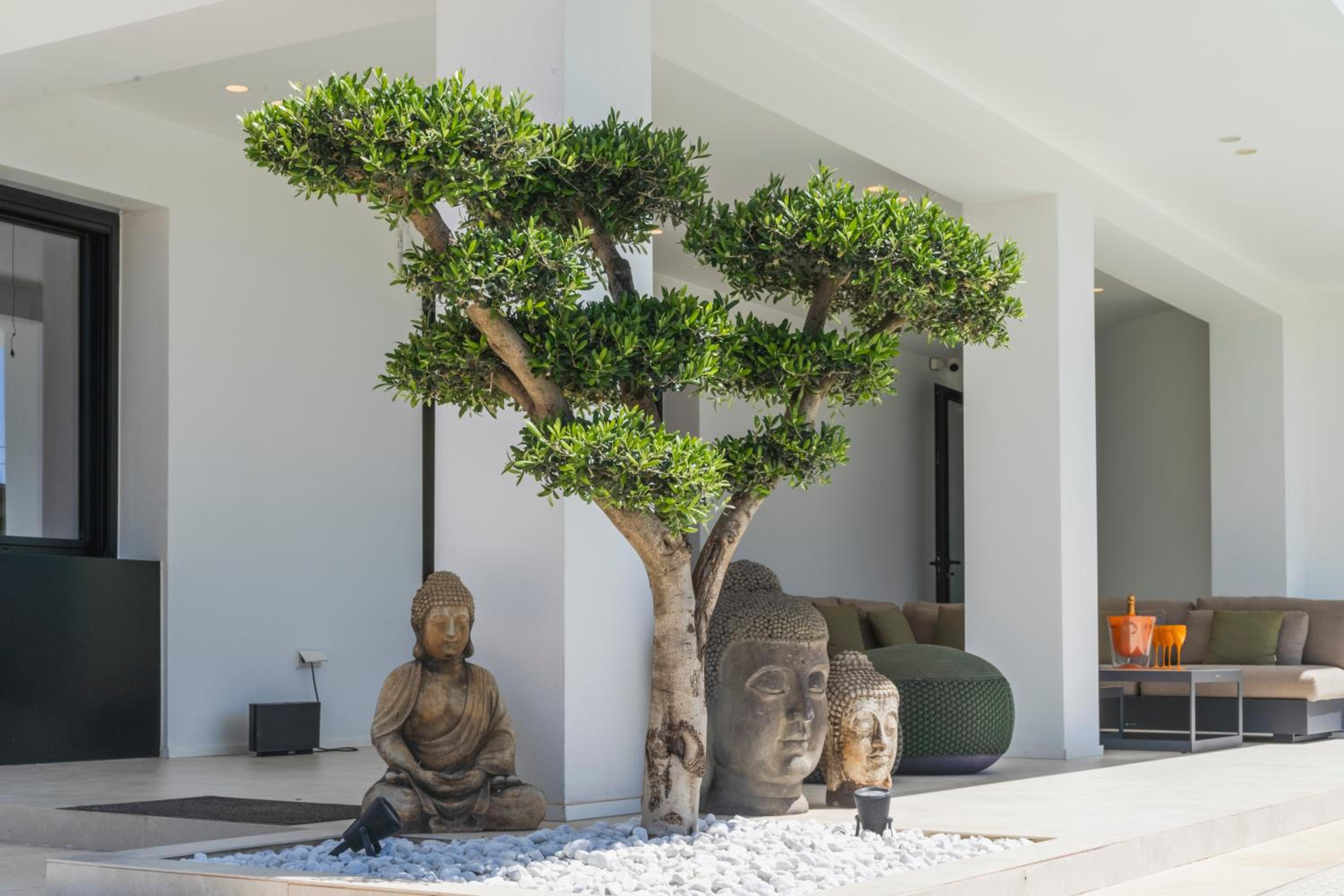Villa The View