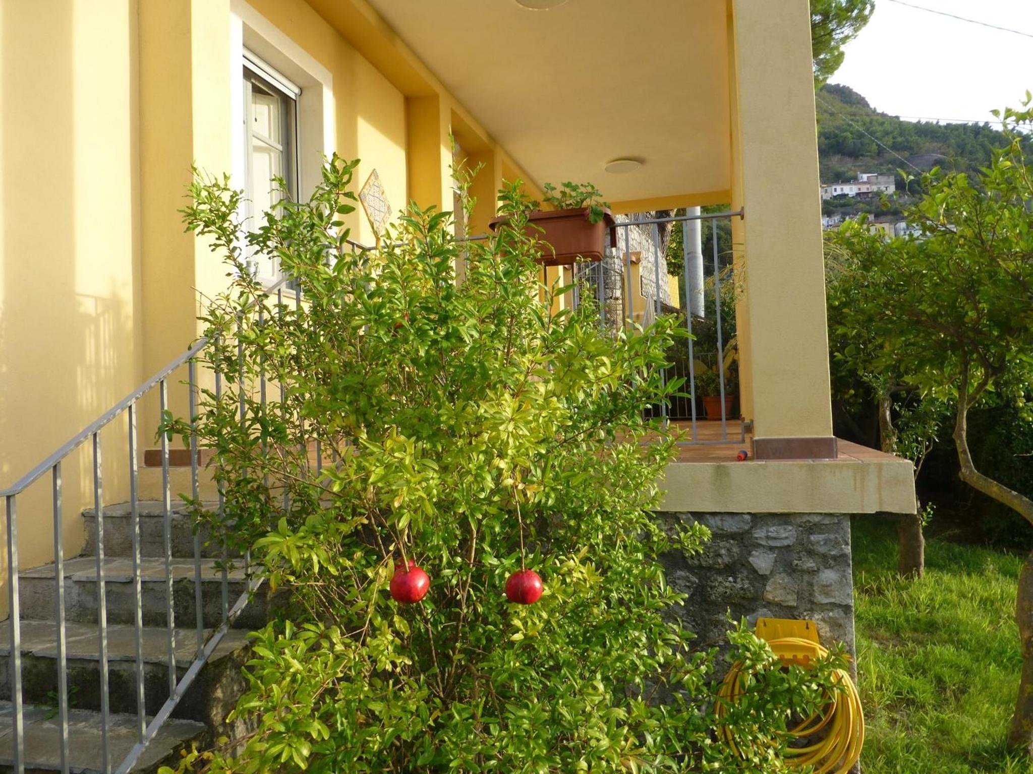 Photo 8