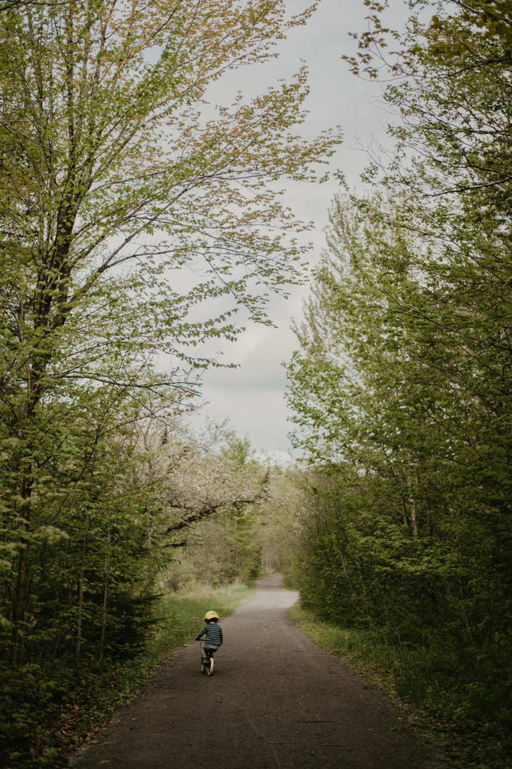 Sezona - Nature escape in Tremblant