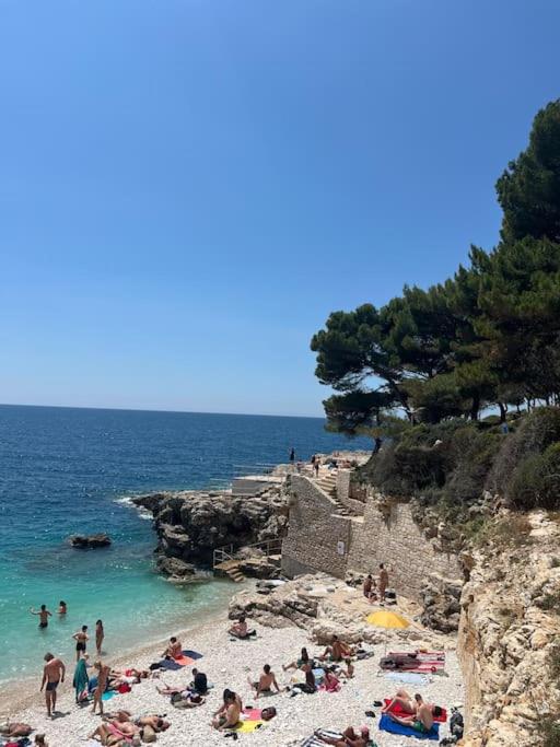 human