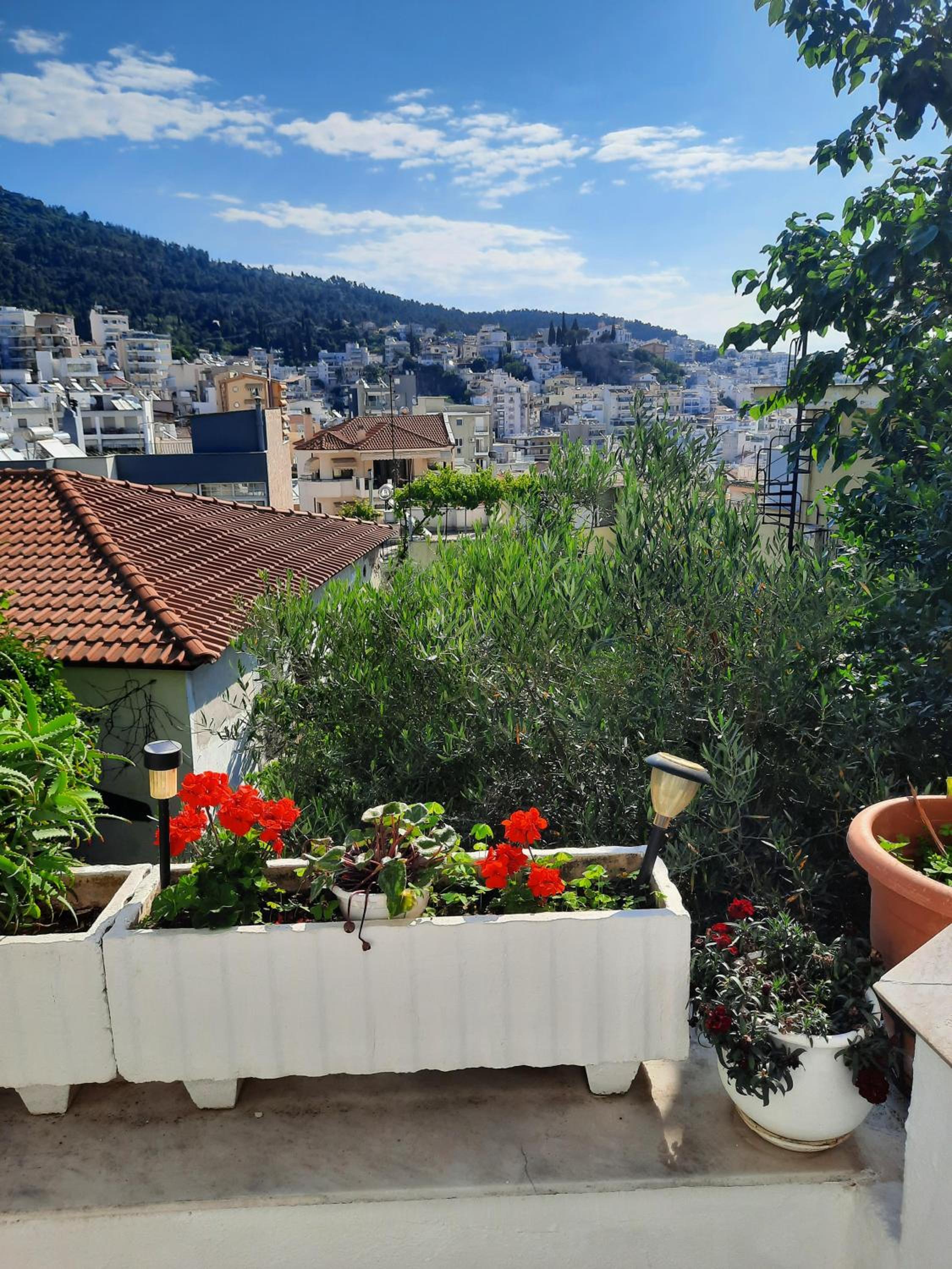 Vasilis Garden House