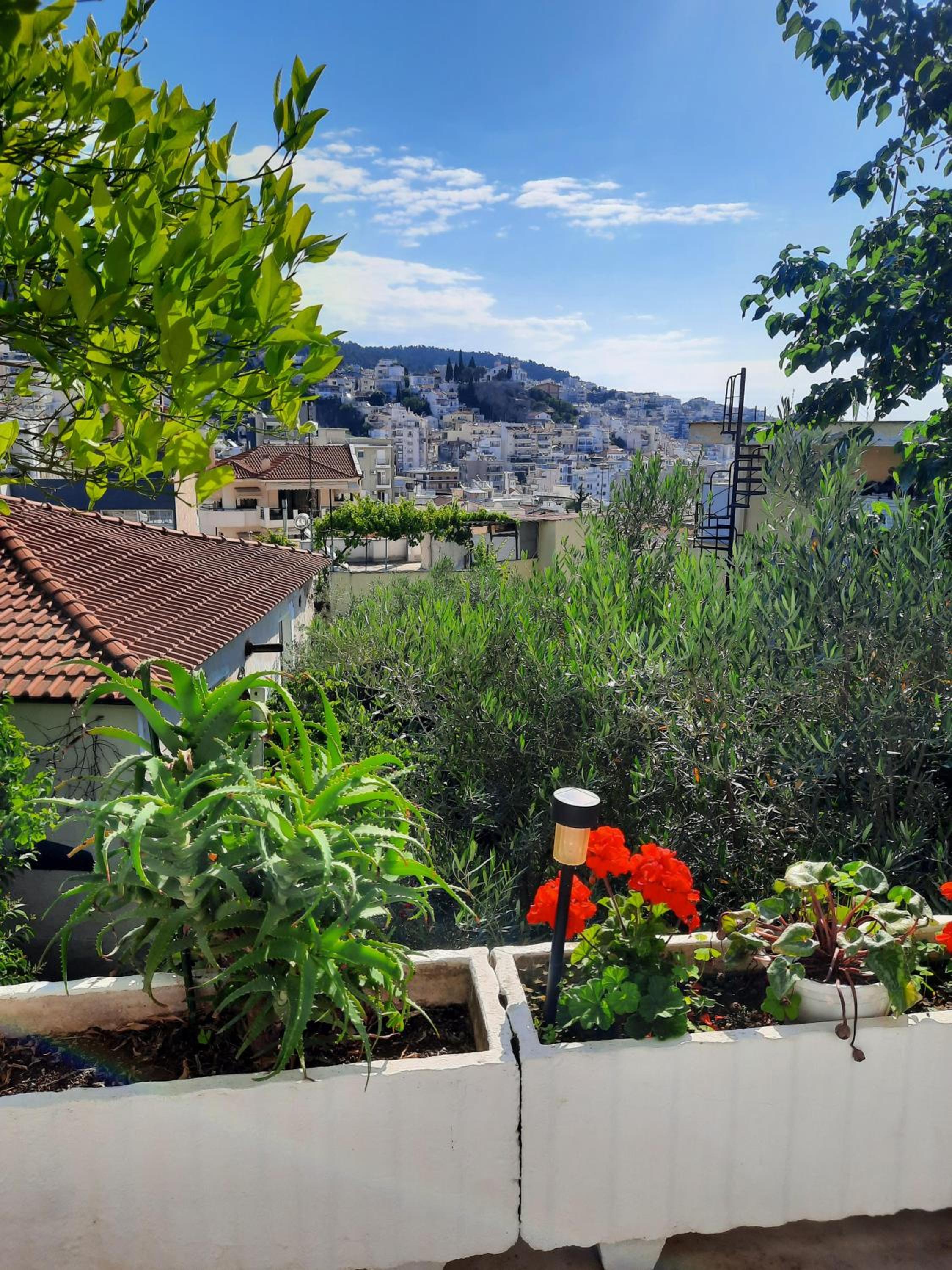 Vasilis Garden House