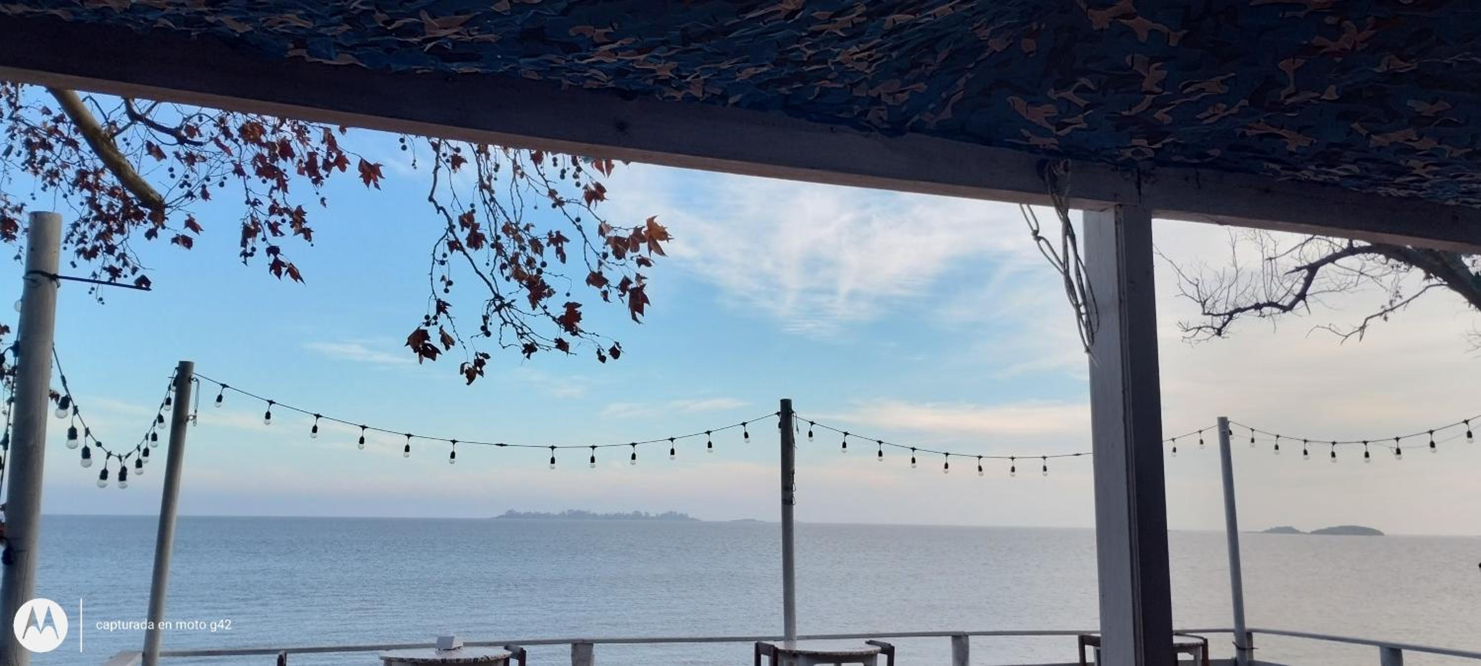 Photo 98