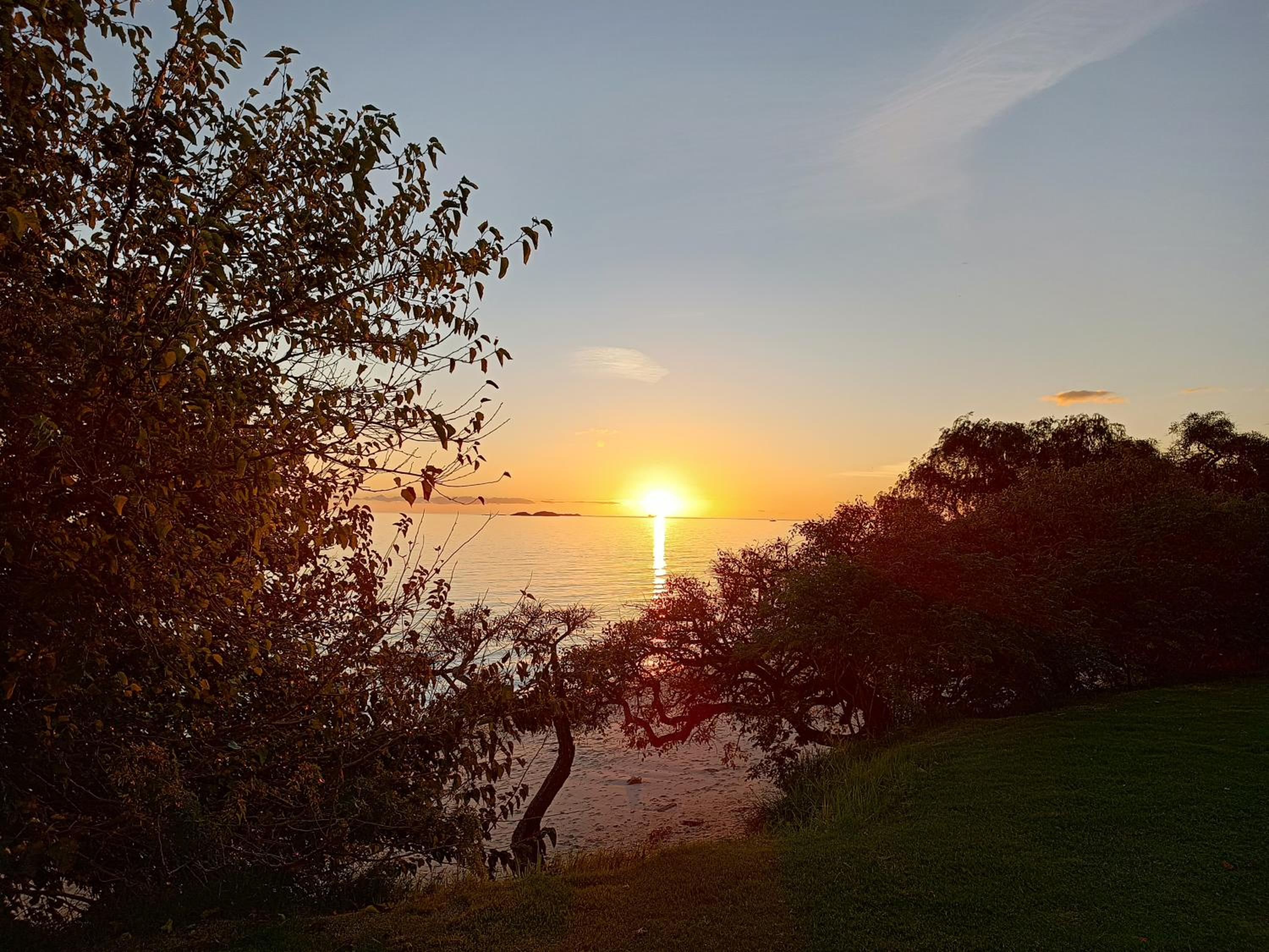 Photo 100