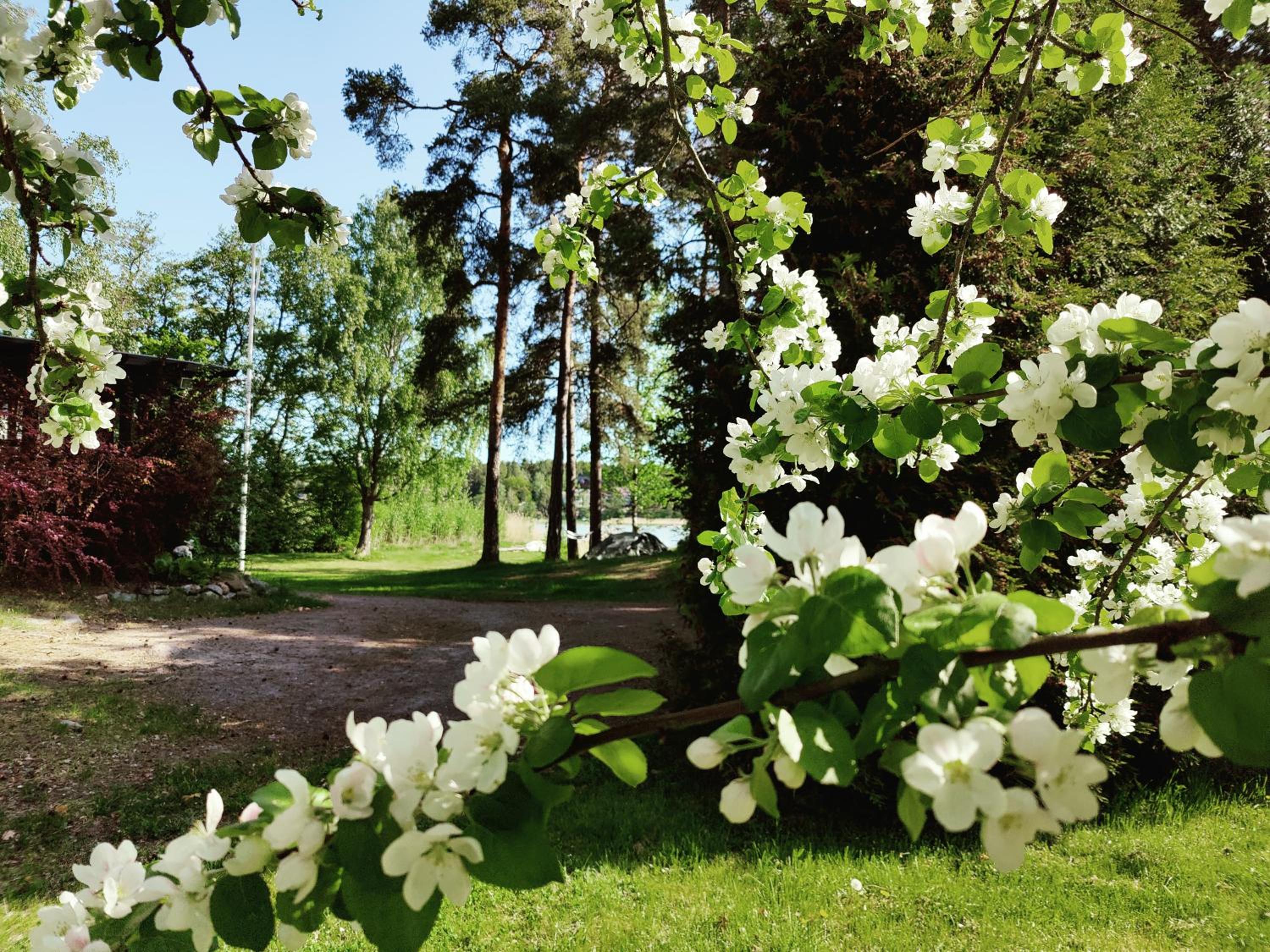 Naantalissa idyllinen merenrantatalo, OnnenPoukama