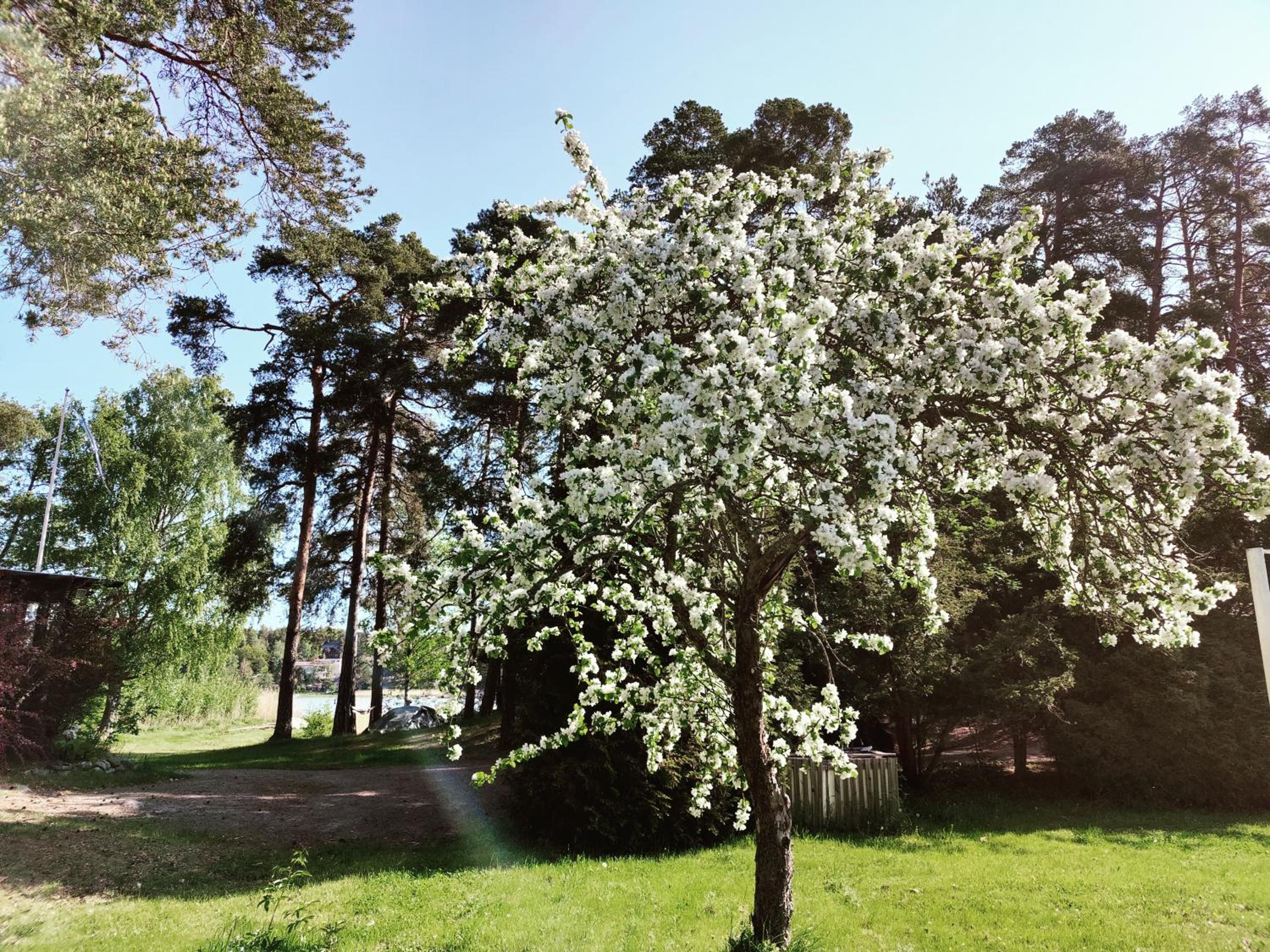 Naantalissa idyllinen merenrantatalo, OnnenPoukama