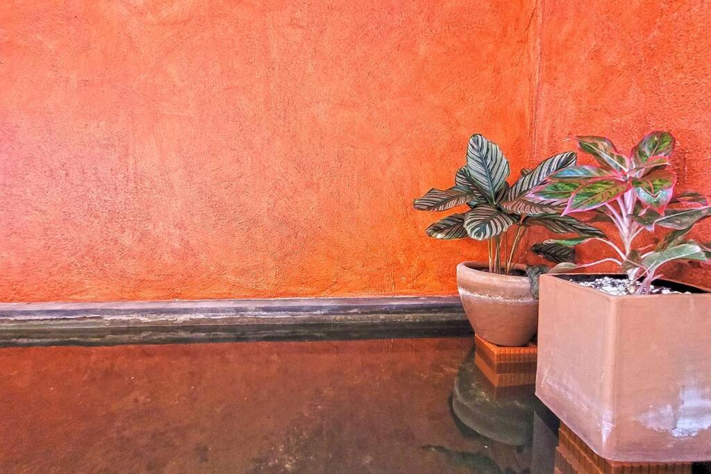 Casa Olivacea - Beachfront Villa
