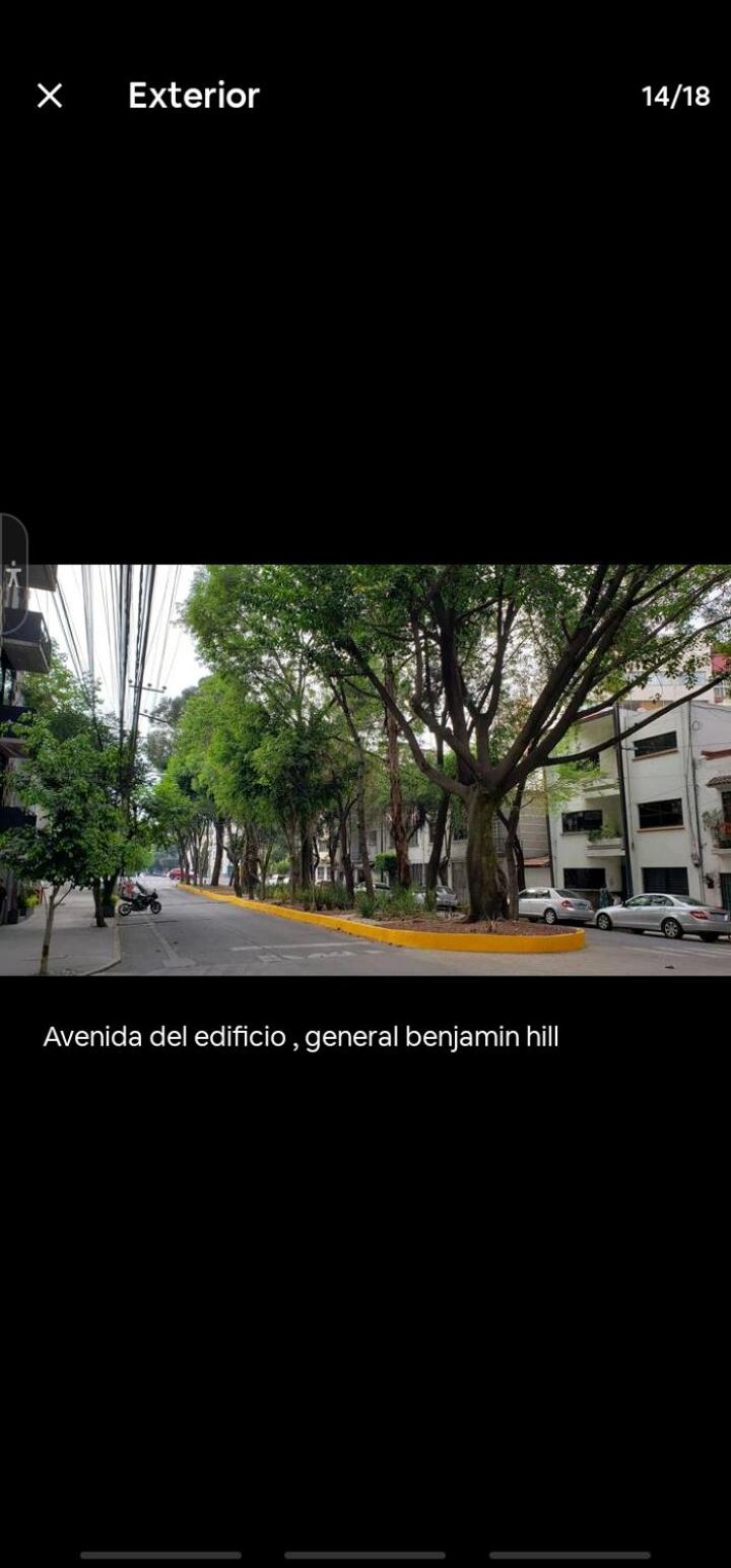 Condesa Dreams photo 5