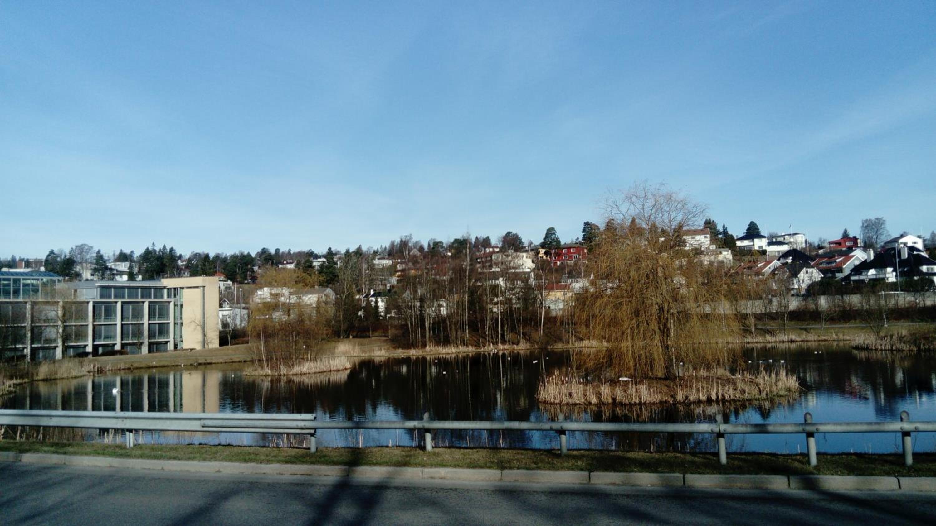 Photo 28