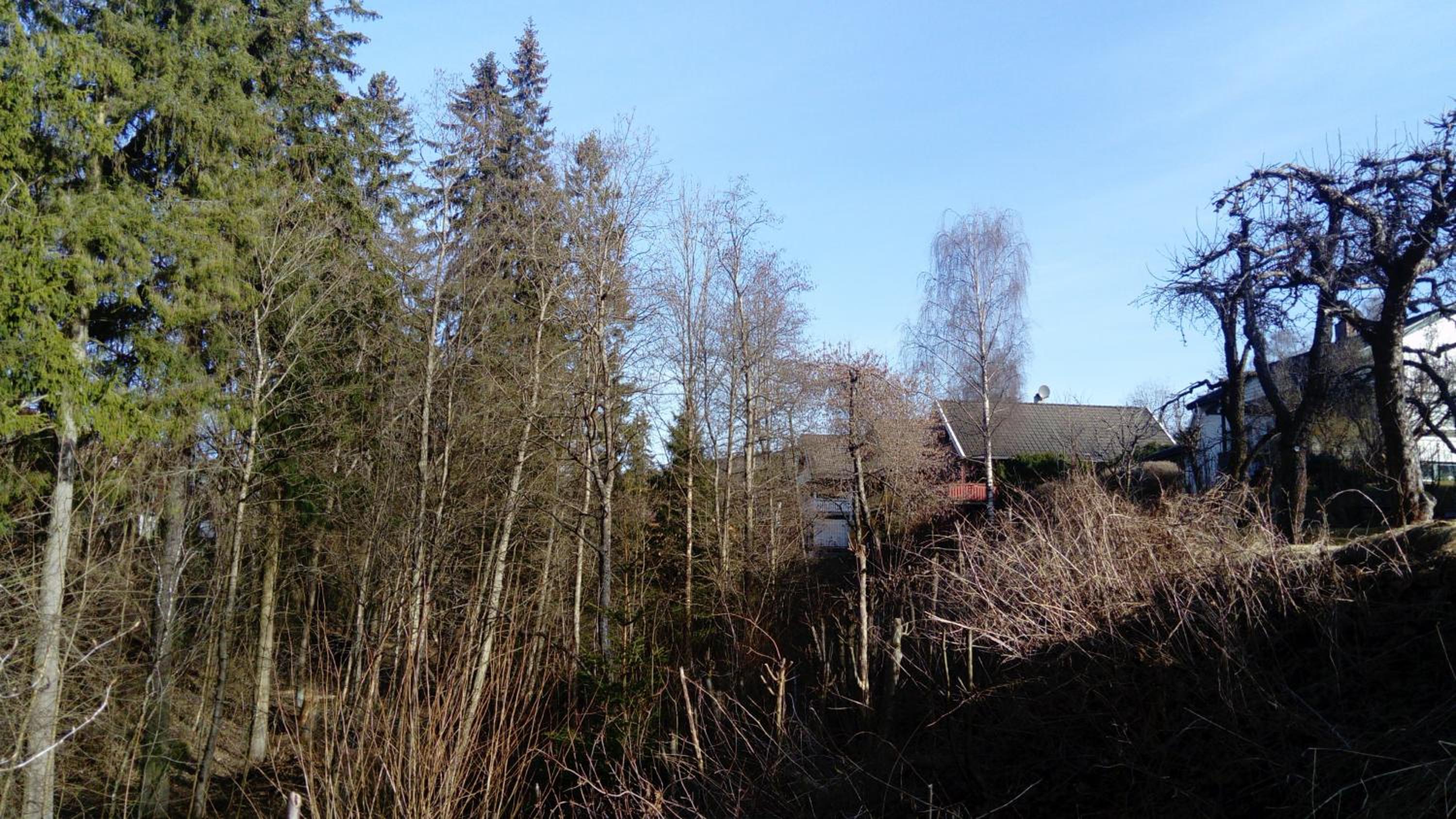 Photo 16