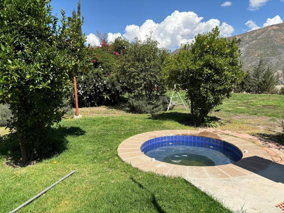 El bosque huajchilla