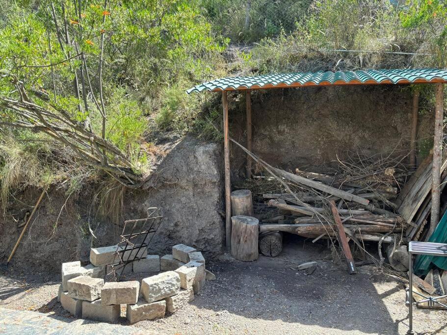 El bosque huajchilla