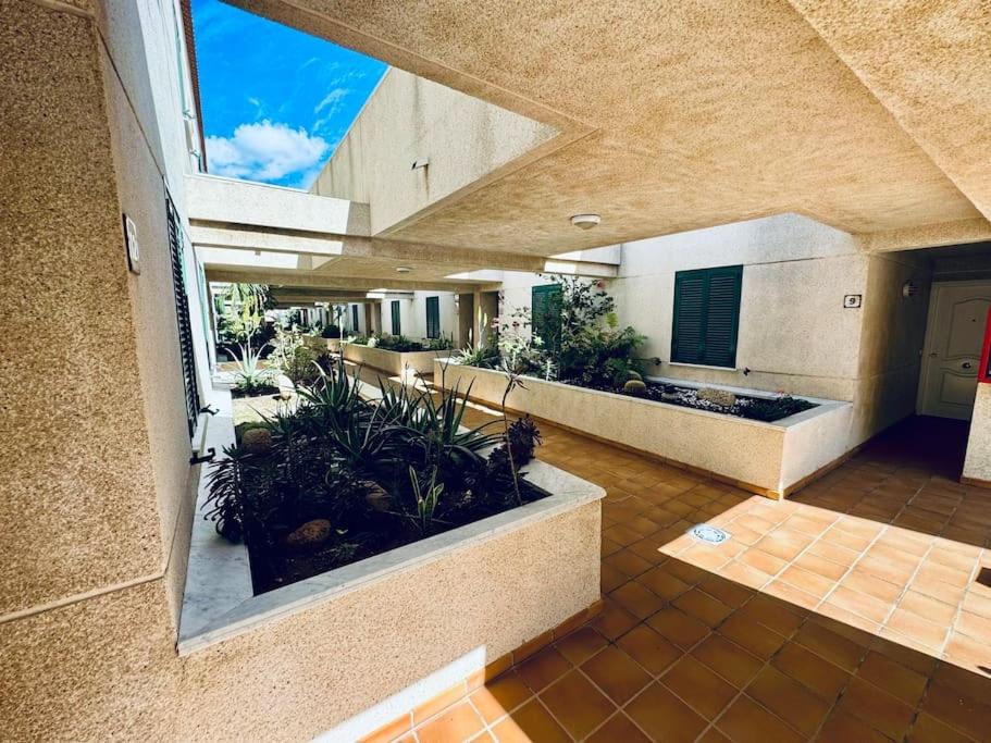 Caracola Roja by Top Stay