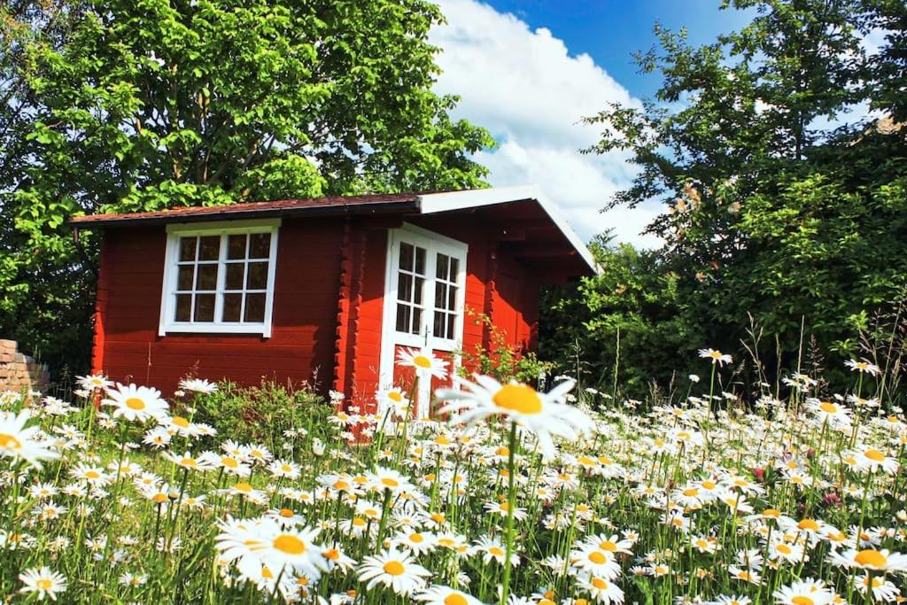 Ferienhaus Sandregenpfeifer mit Kamin, großem Garten & nahe Ostsee