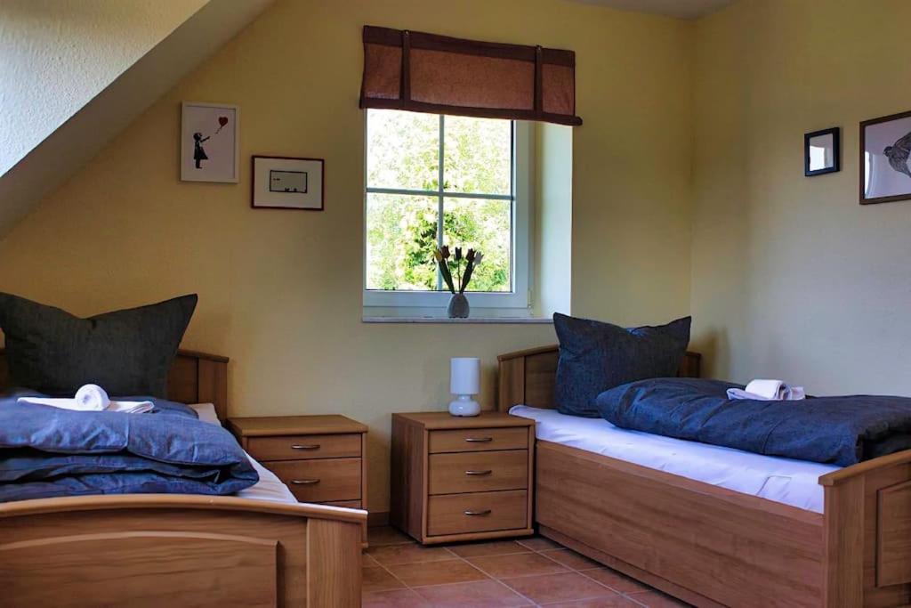 Ferienhaus Sandregenpfeifer mit Kamin, großem Garten & nahe Ostsee