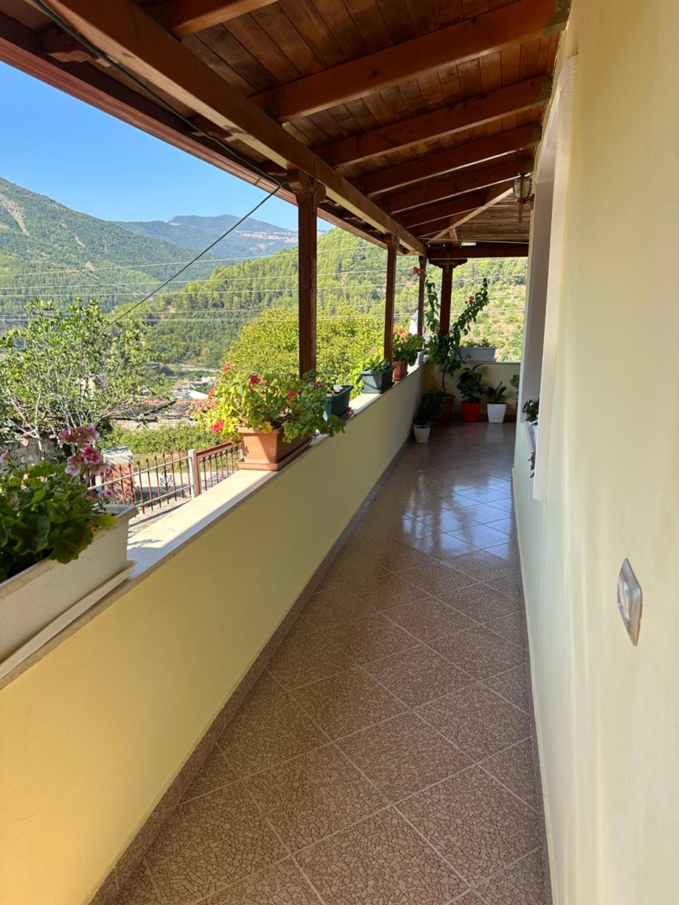 Big Holiday House photo 2