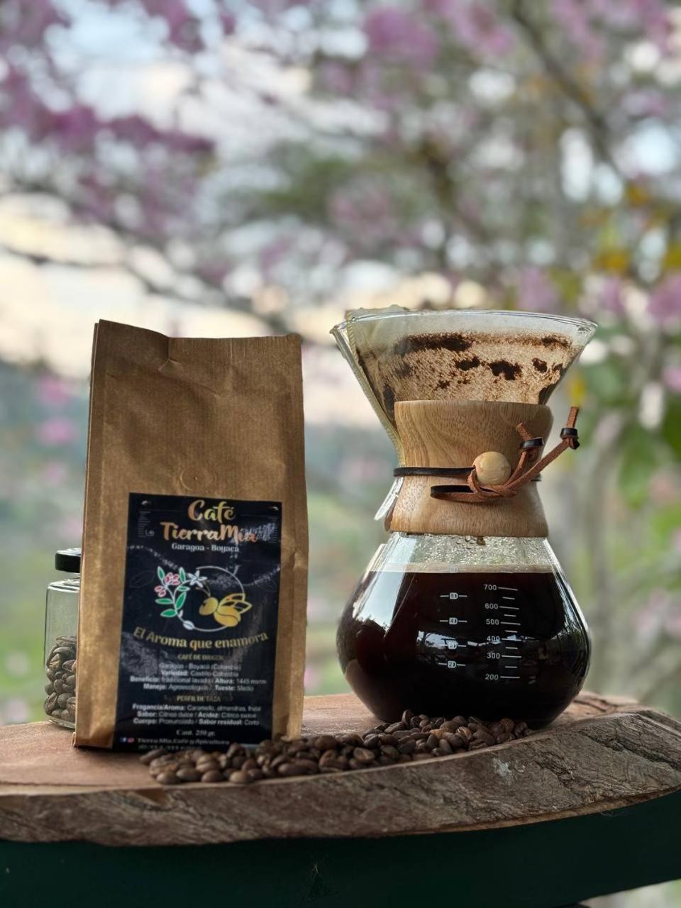 Tierra Mía café y apicultura