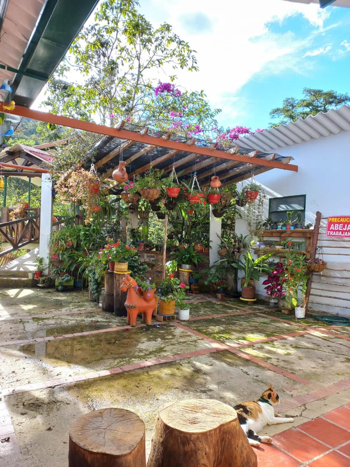 Tierra Mía café y apicultura