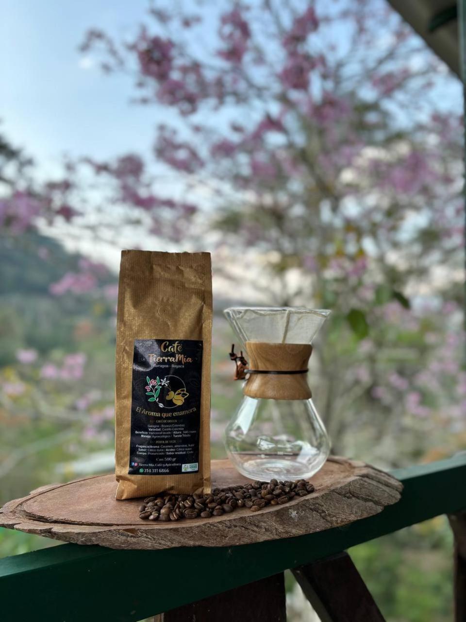 Tierra Mía café y apicultura