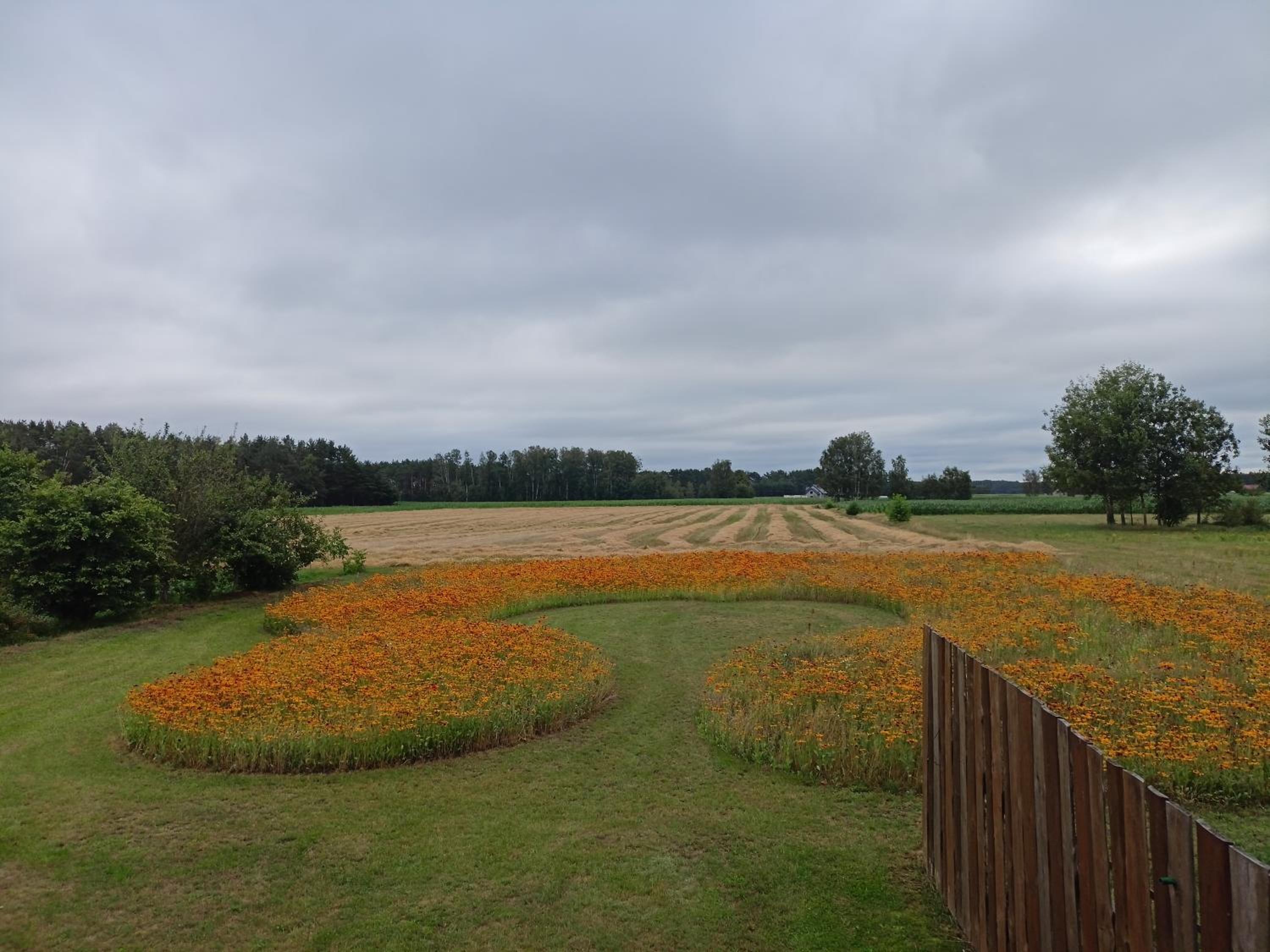 Sosenka view 2