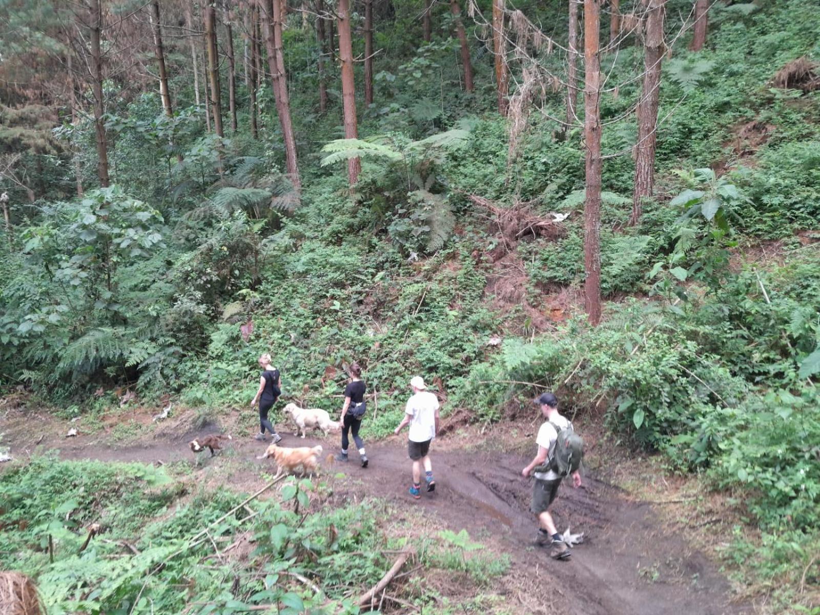 Mirador Finca Morrogacho