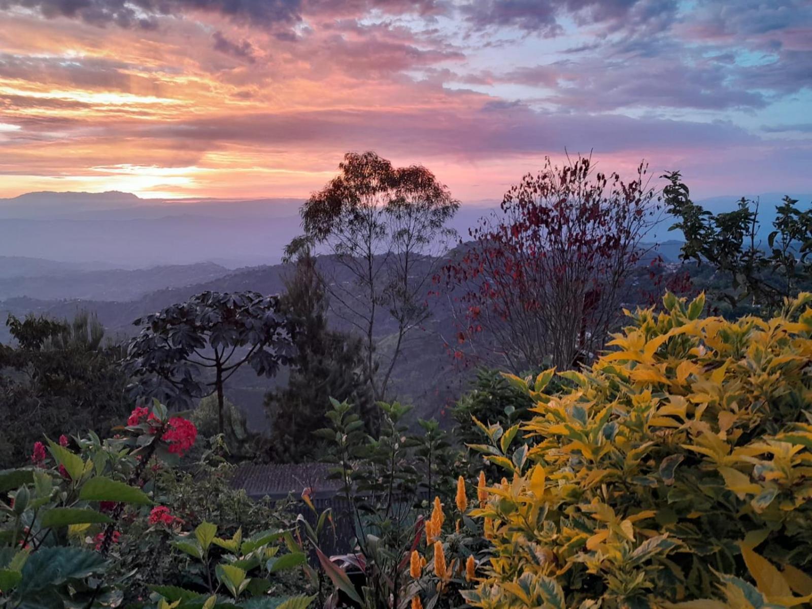 Mirador Finca Morrogacho