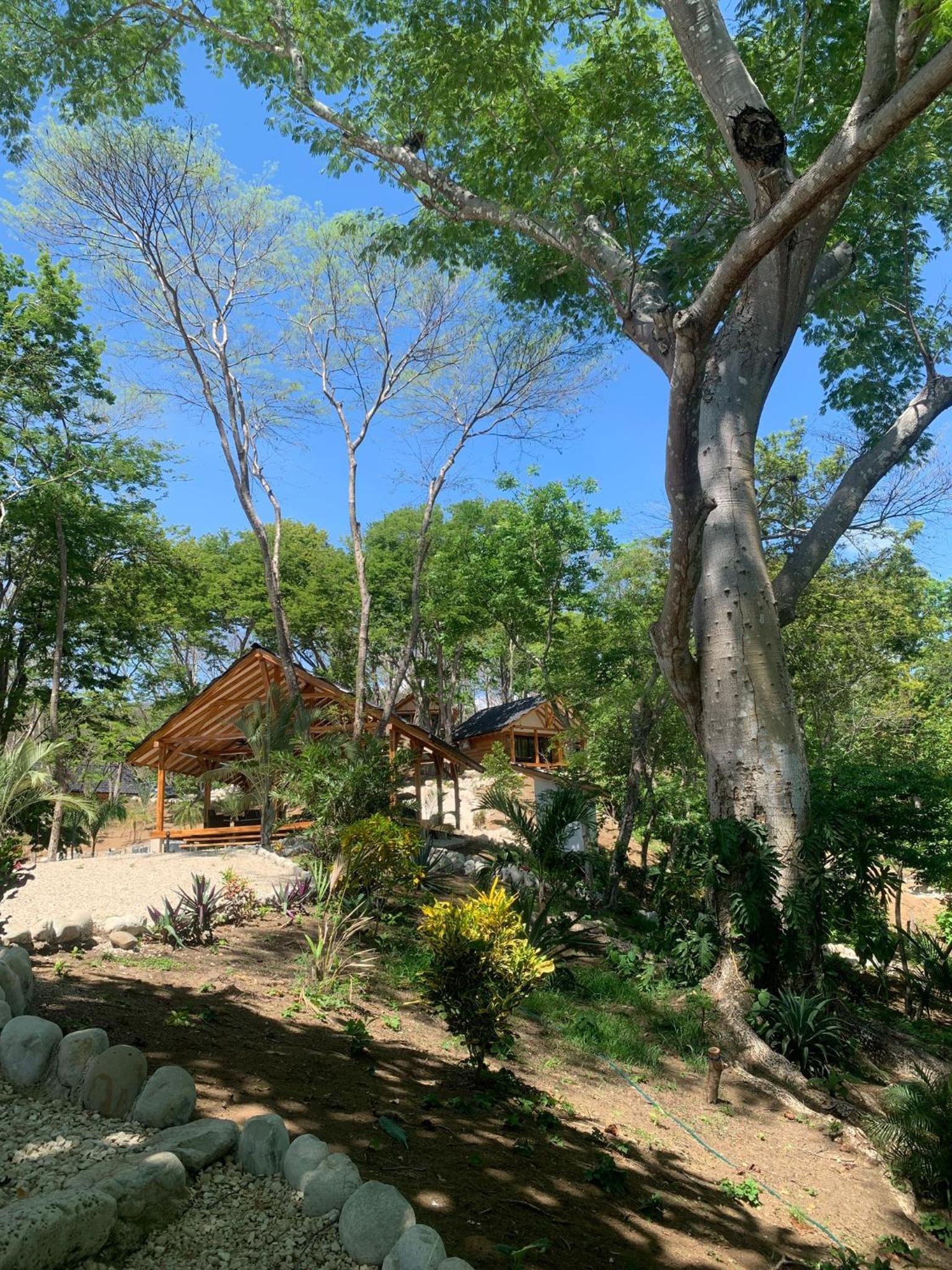 Beach resort playa Leona