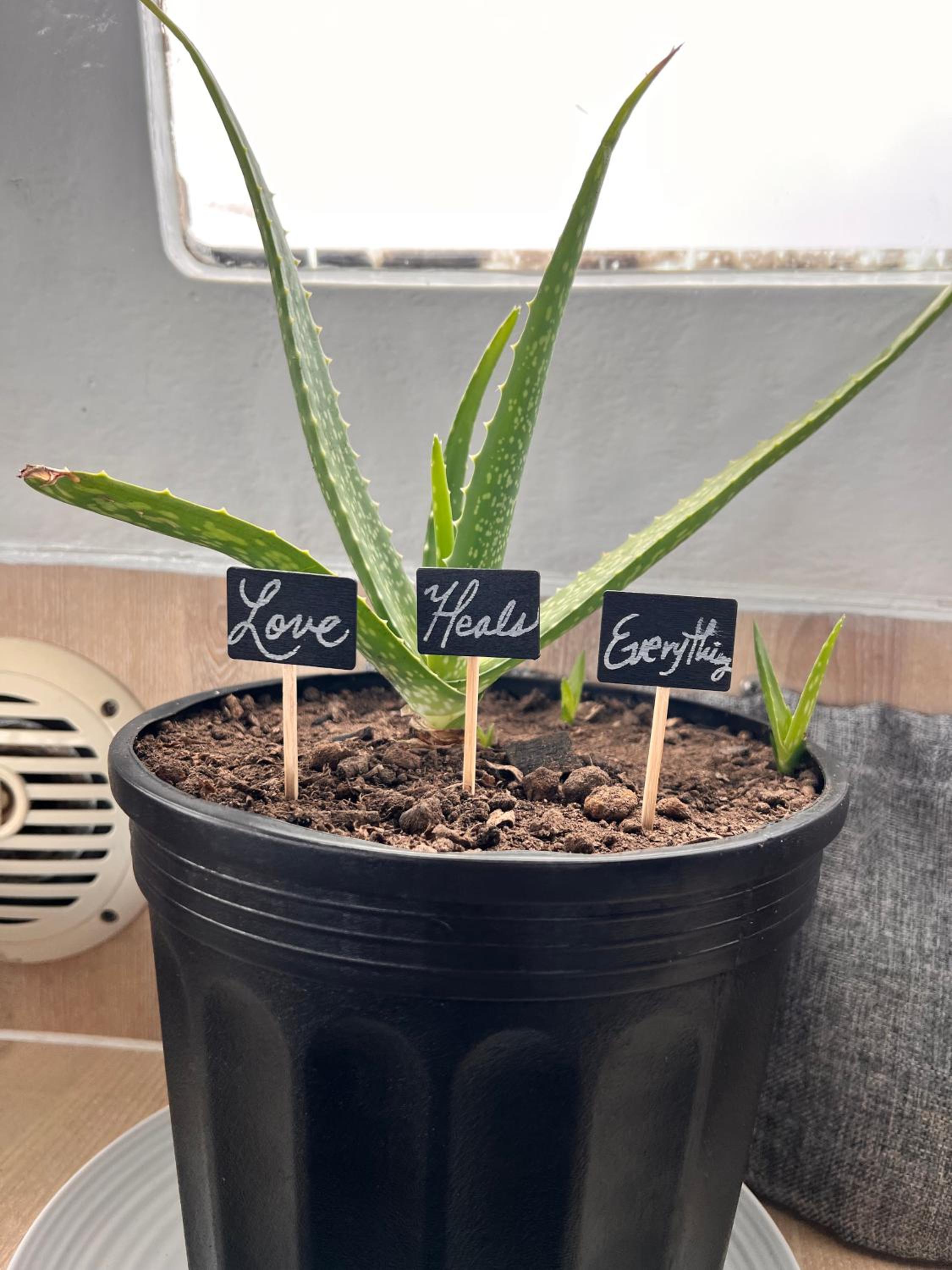 other