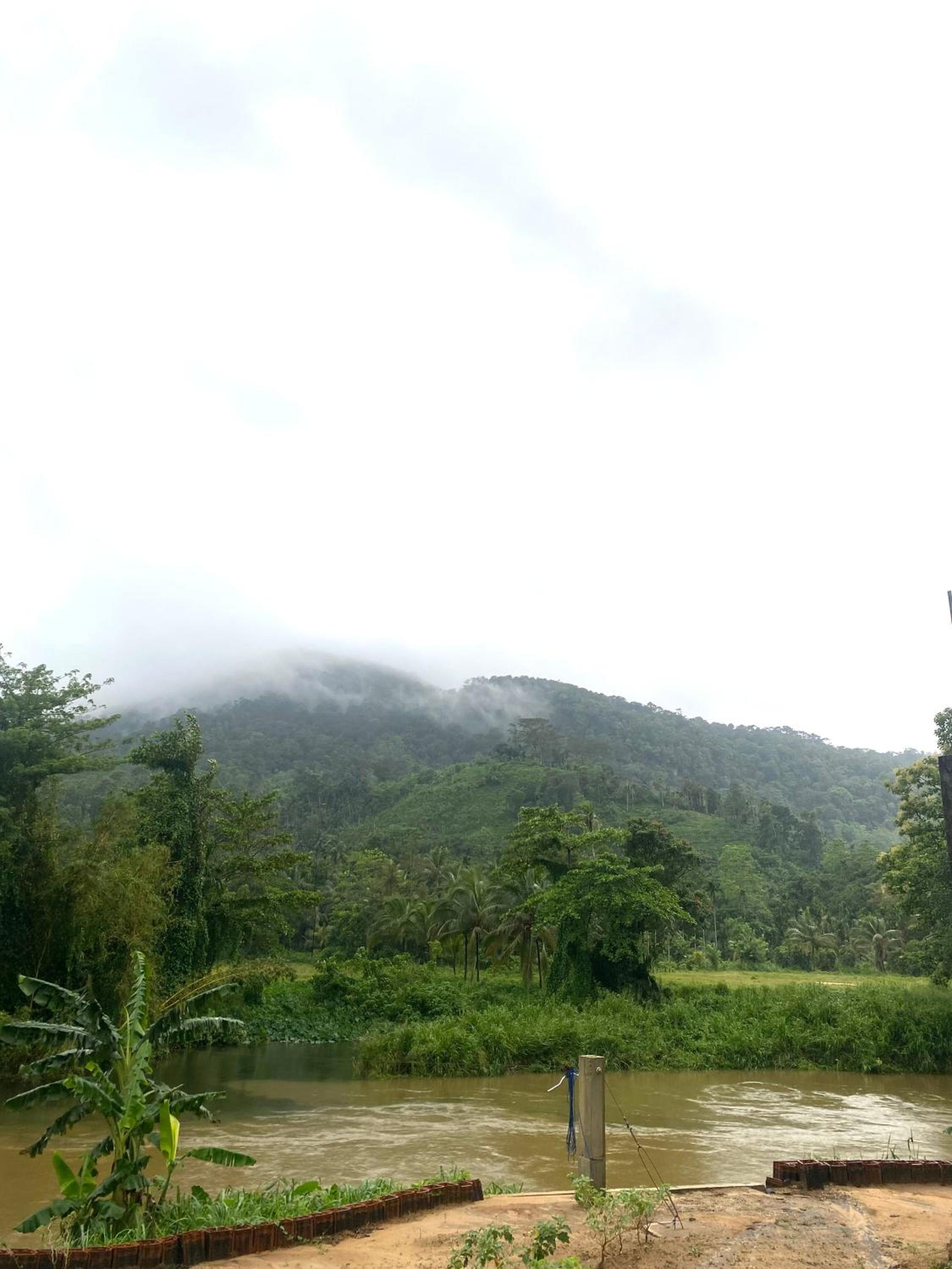 Sinharaja Riverside