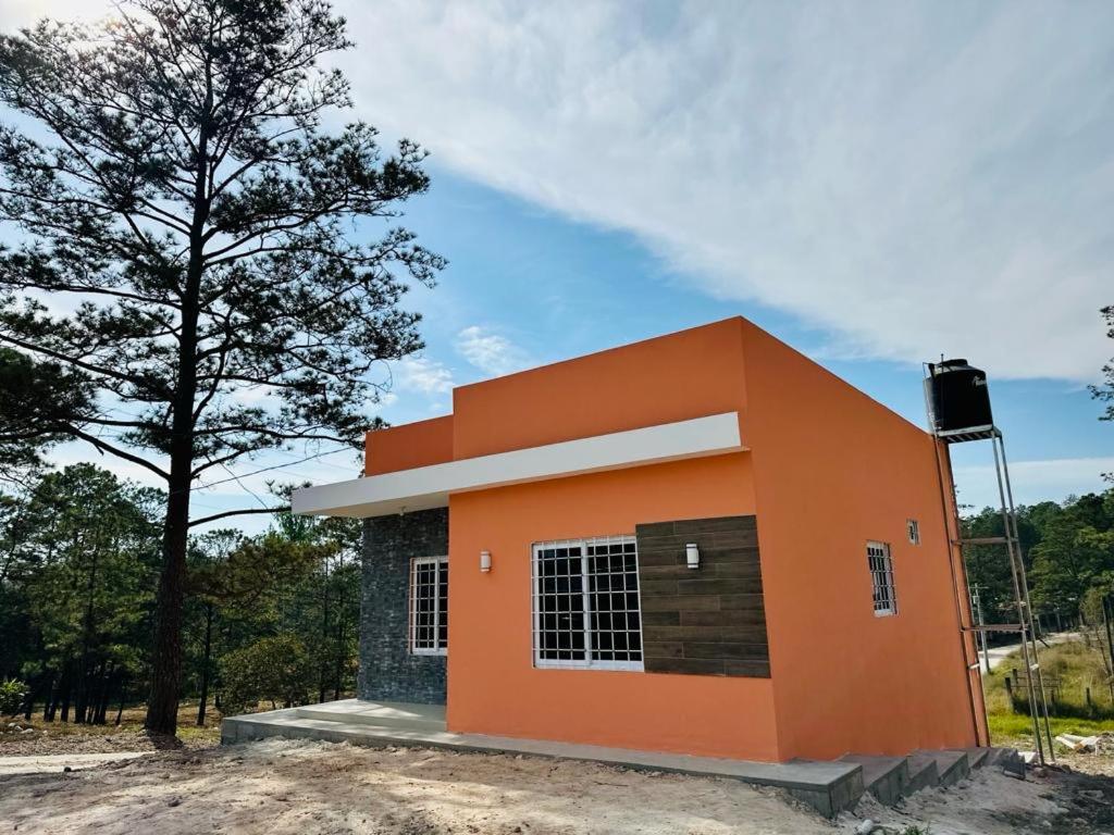 La casa de la H, entre pinos