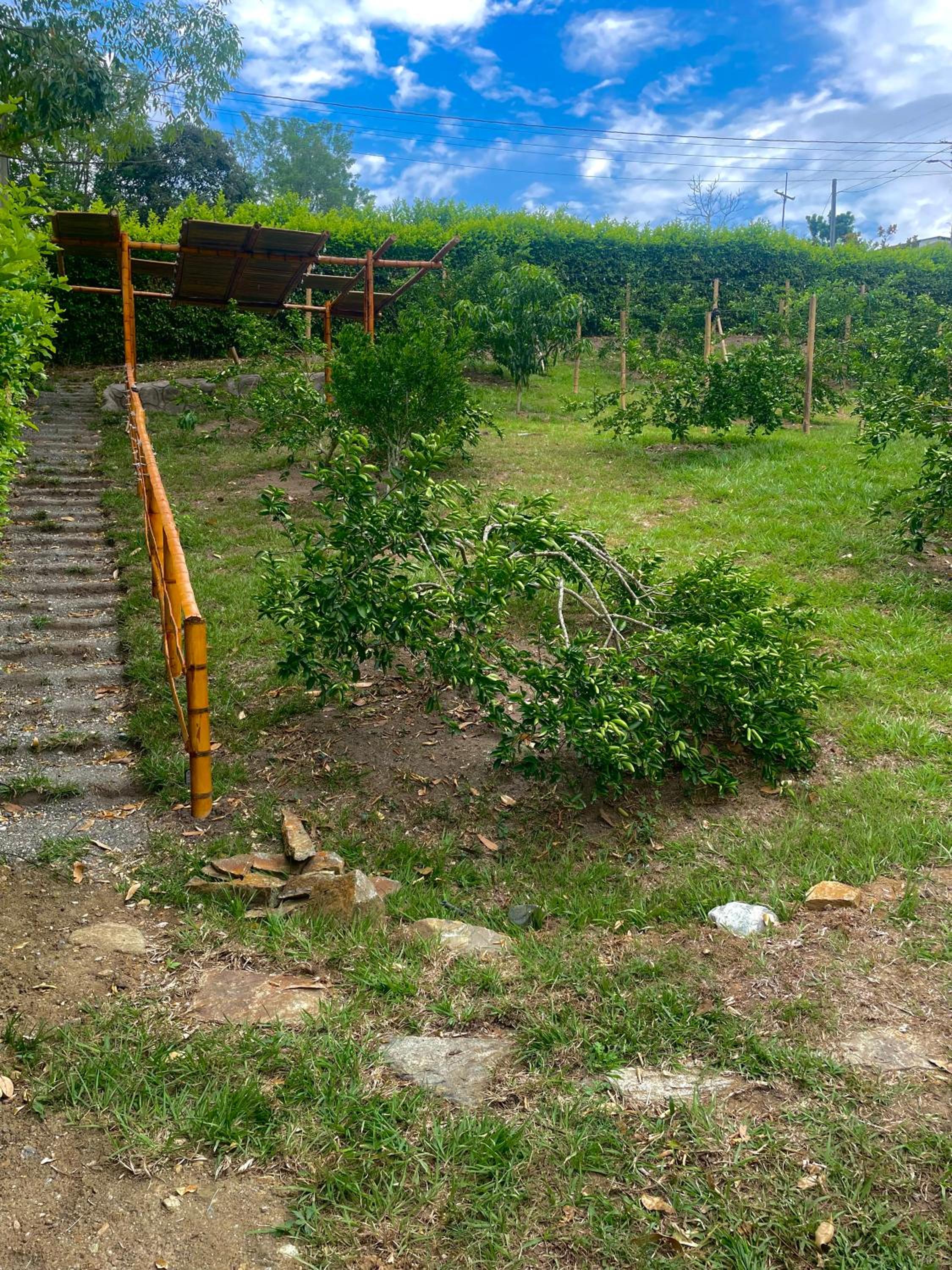 Cabaña campestre eje cafetero