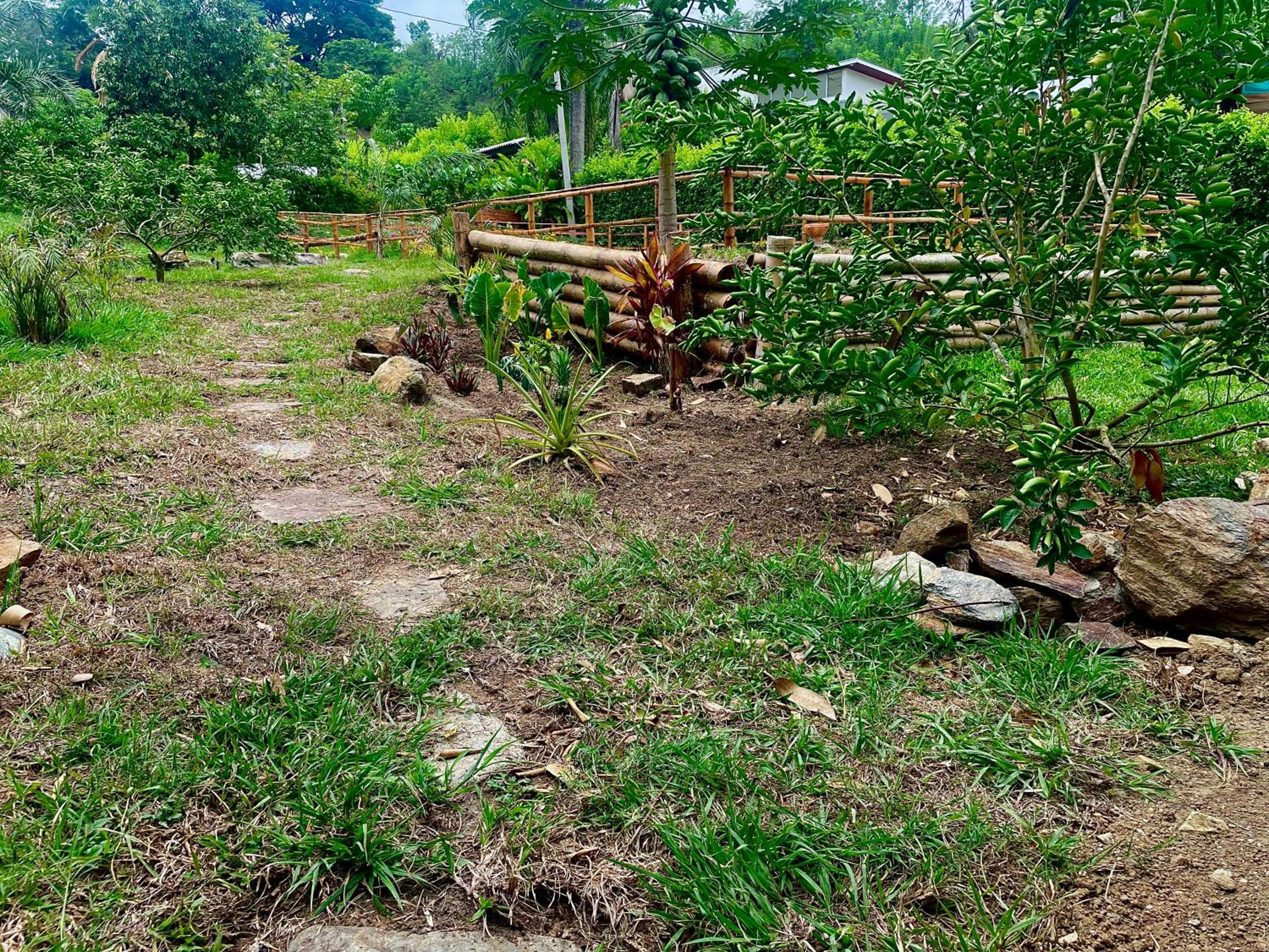 Cabaña campestre eje cafetero