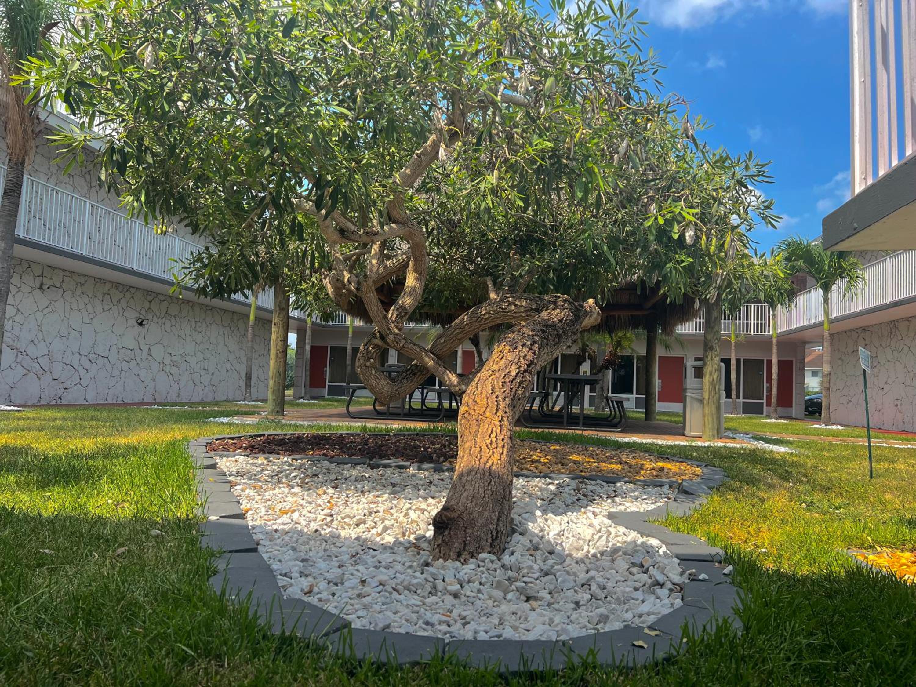Garden Inn Homestead/Everglades/Gateway to Keys, Foto 43