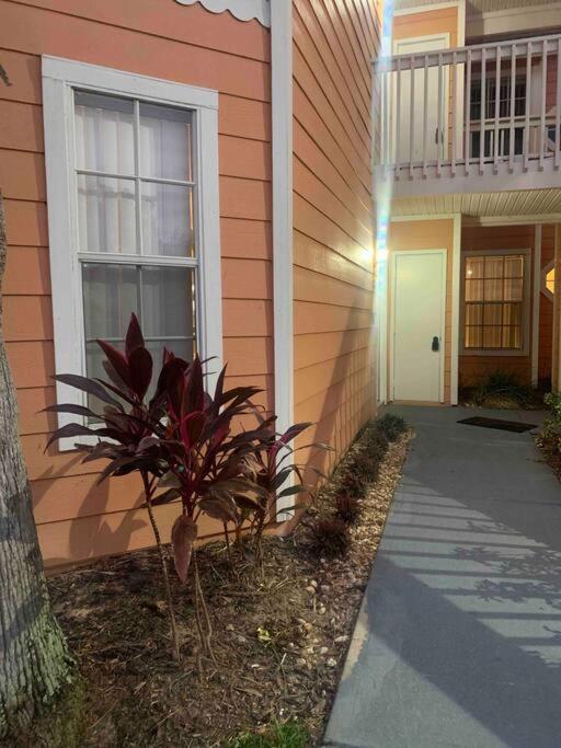 Disney enchantment getaway