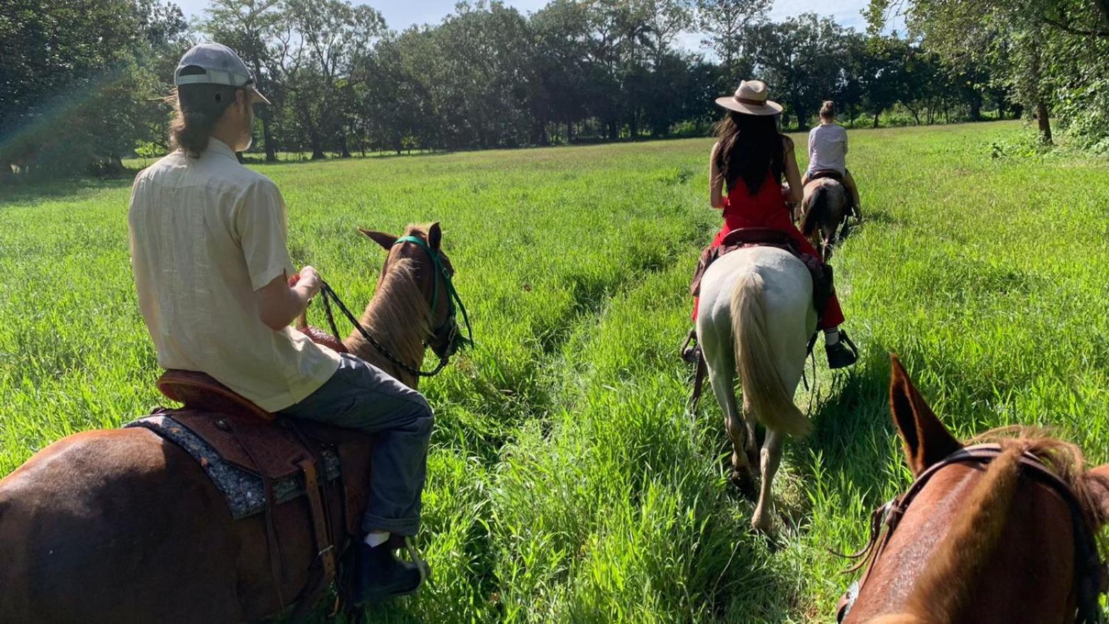 Coquira Soil Project - Property Image 25